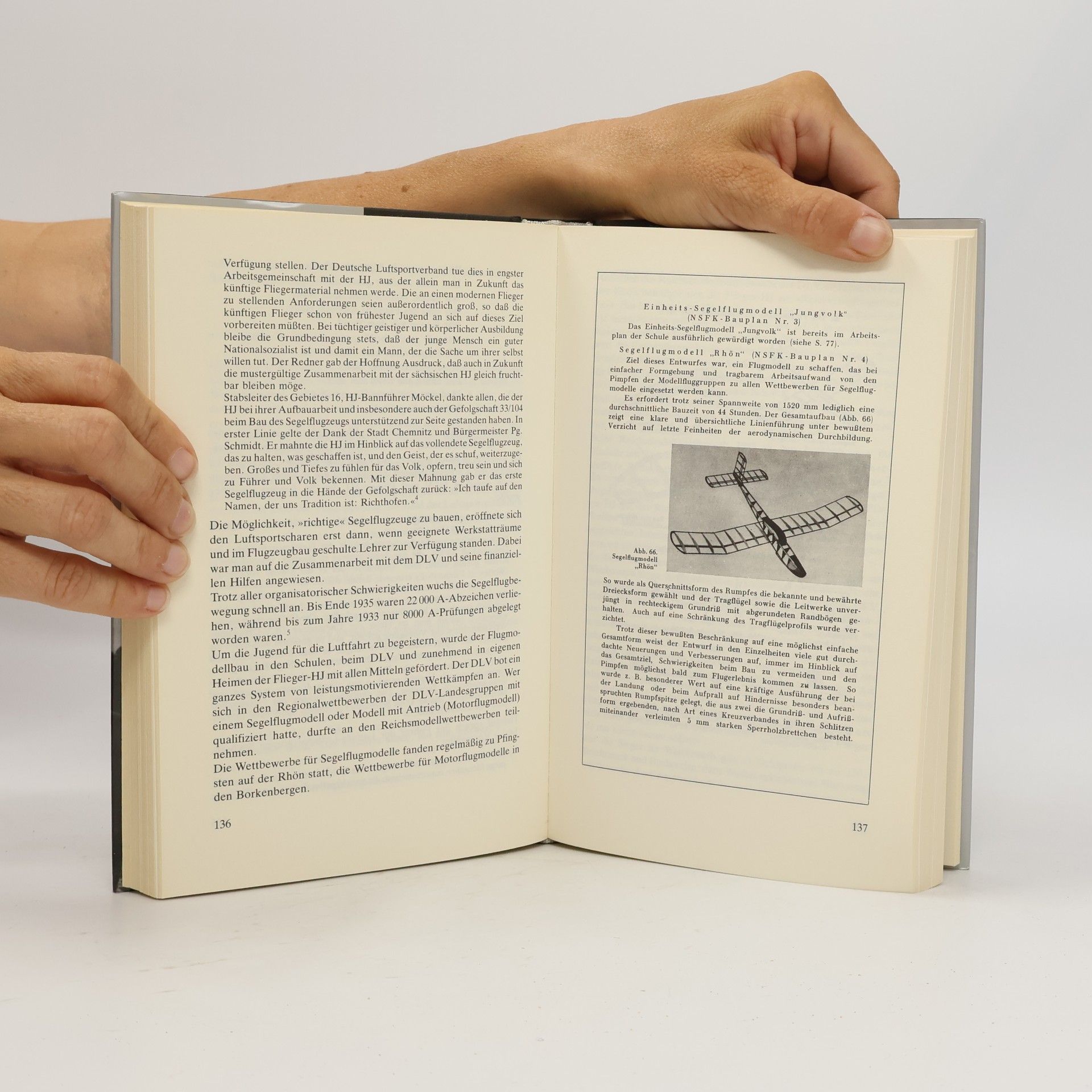 Georg Cordts Junge Adler