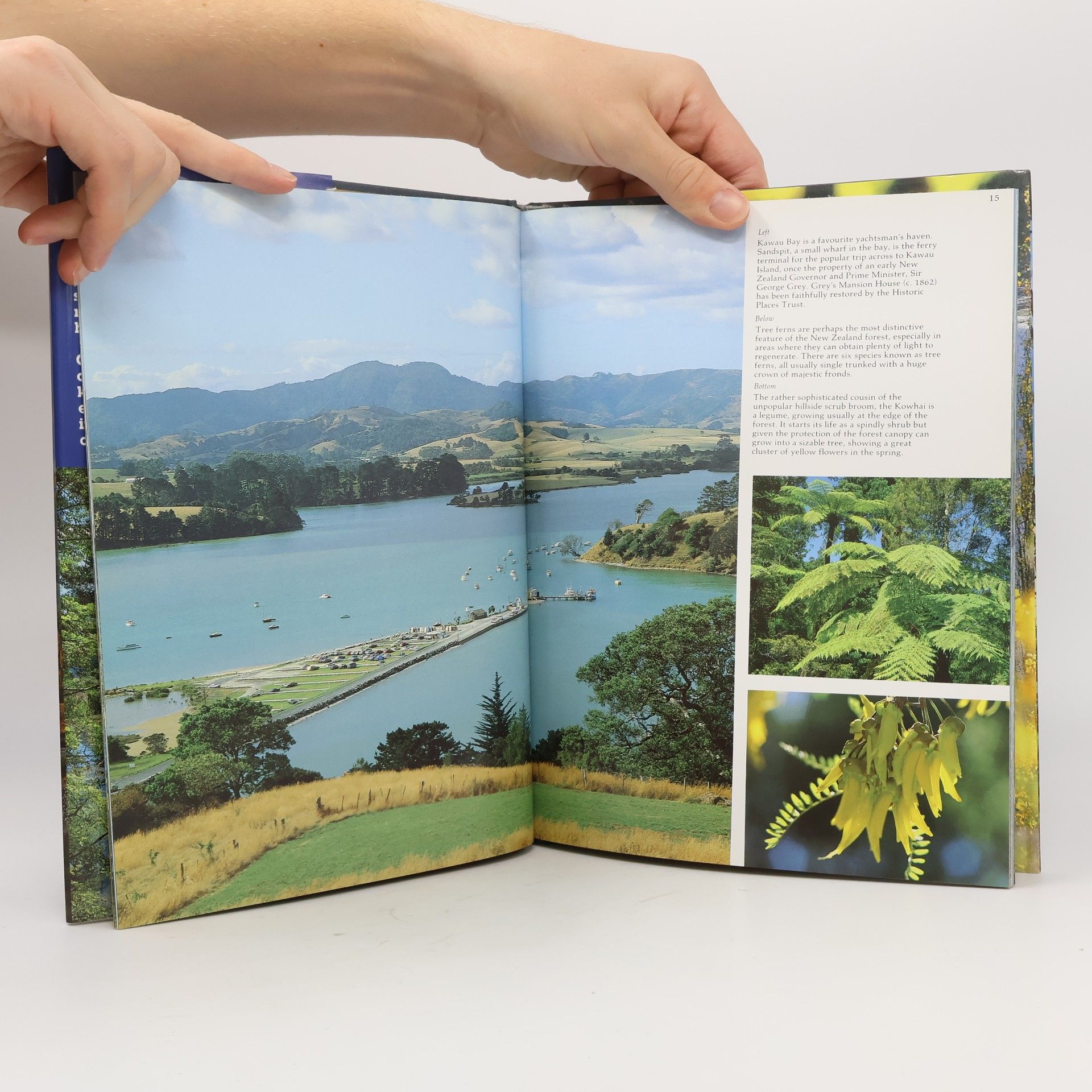 Sally Jacobs Colourful New Zealand