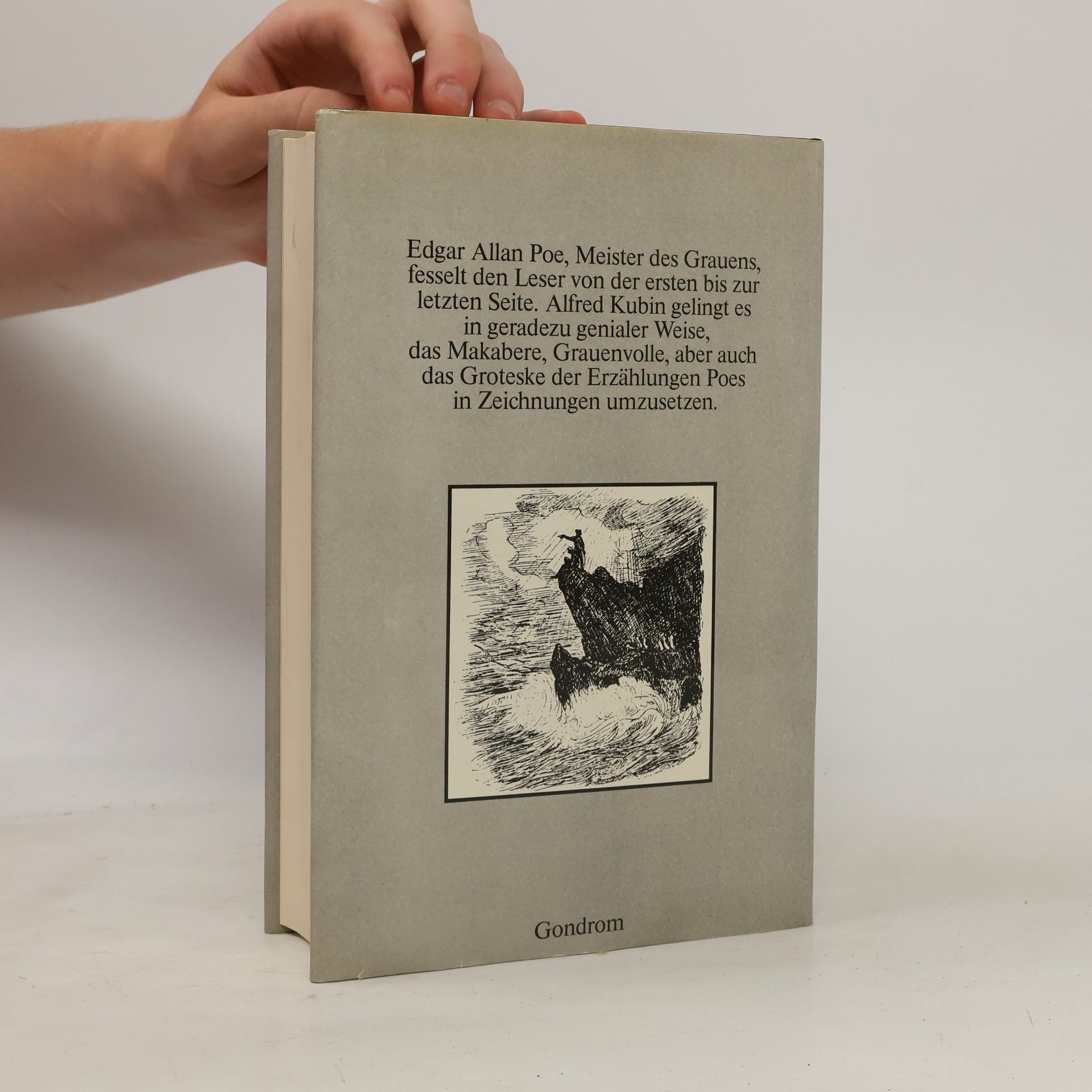 Edgar Allan Poe Erzählungen