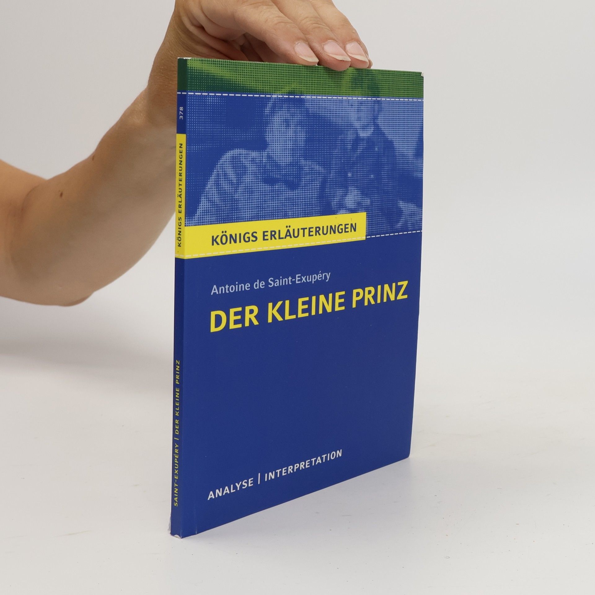 Walburga Freund-Spork Antoine de Saint-Exupery: Der kleine Prinz