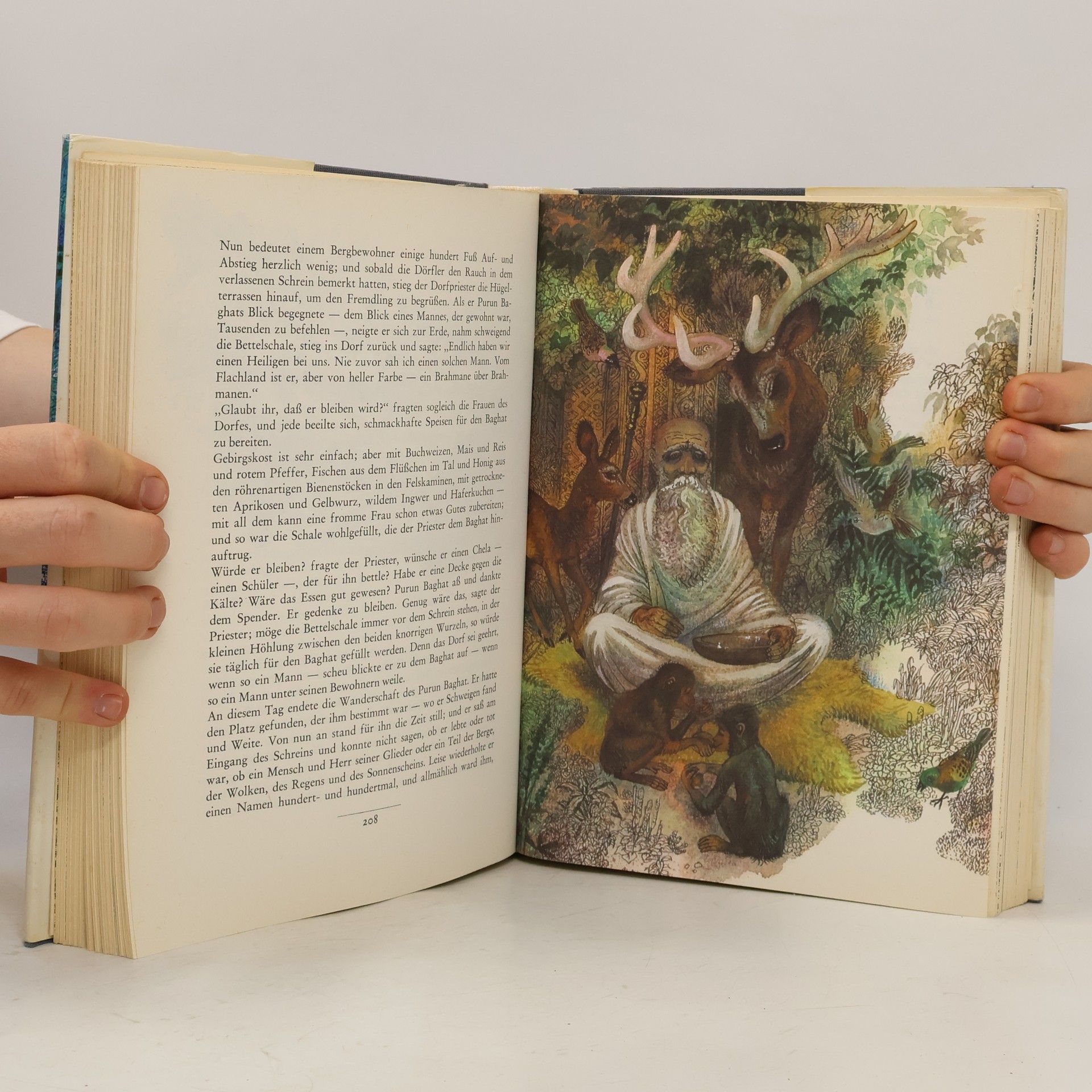 Rudyard Kipling Die Dschungelbücher