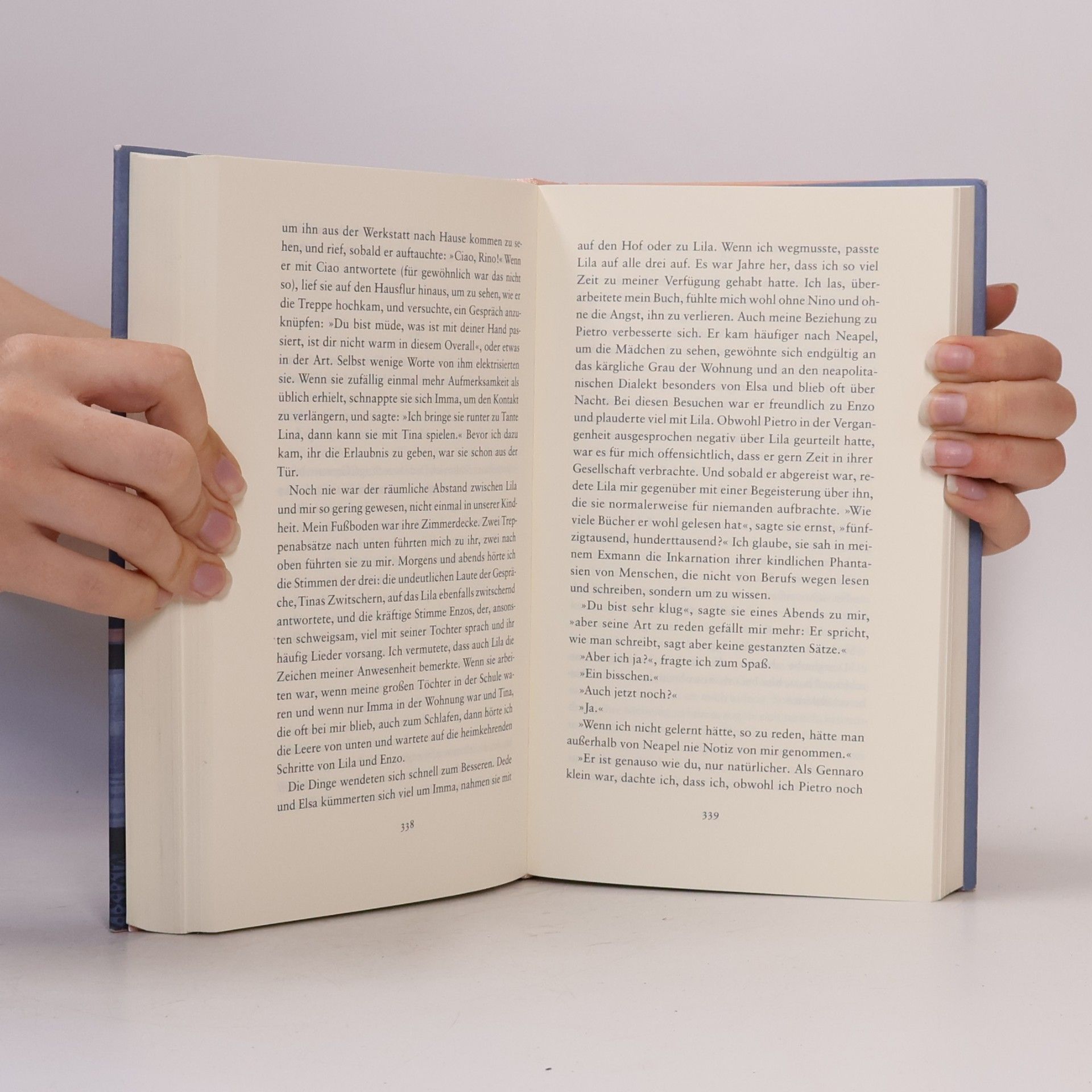 Elena Ferrante Die Geschichte Des Verlorenen Kindes