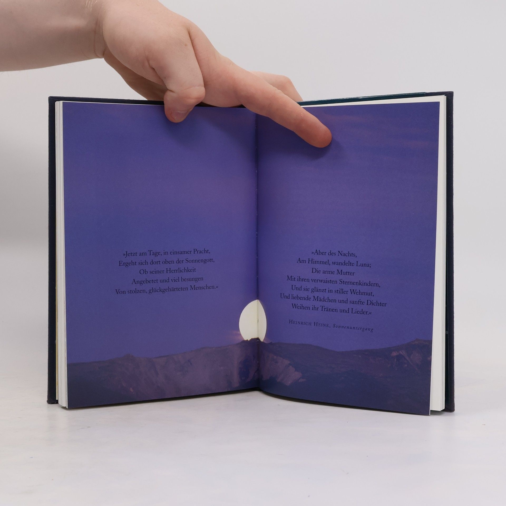 Maryam Sachs Der Mond