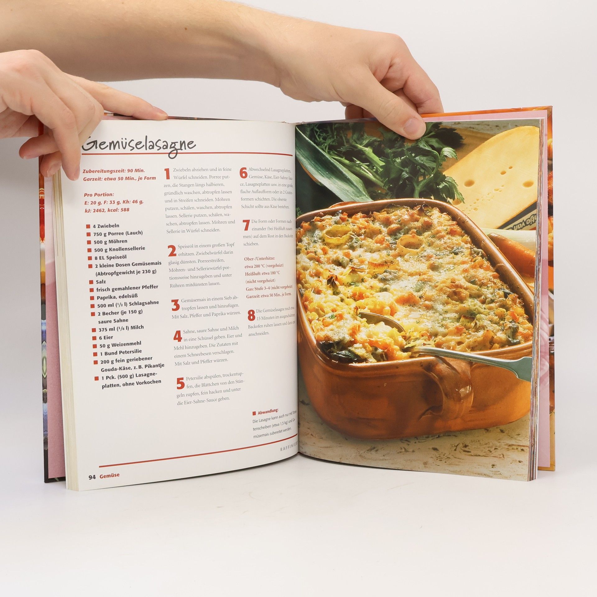 Various authors Partyrezepte aus dem Ofen. Jägerbällchen, Kartoffel-Schichttorte, Lasagne all' Arrabiata, Scheibenauflauf . . .