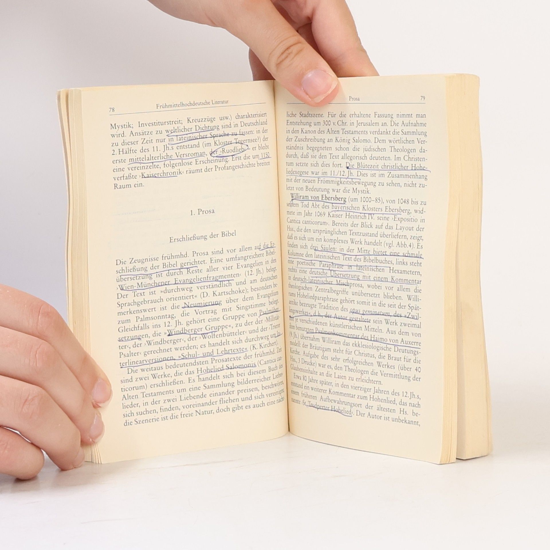 Horst Brunner Geschichte der deutschen Literatur des Mittelalters im Überblick