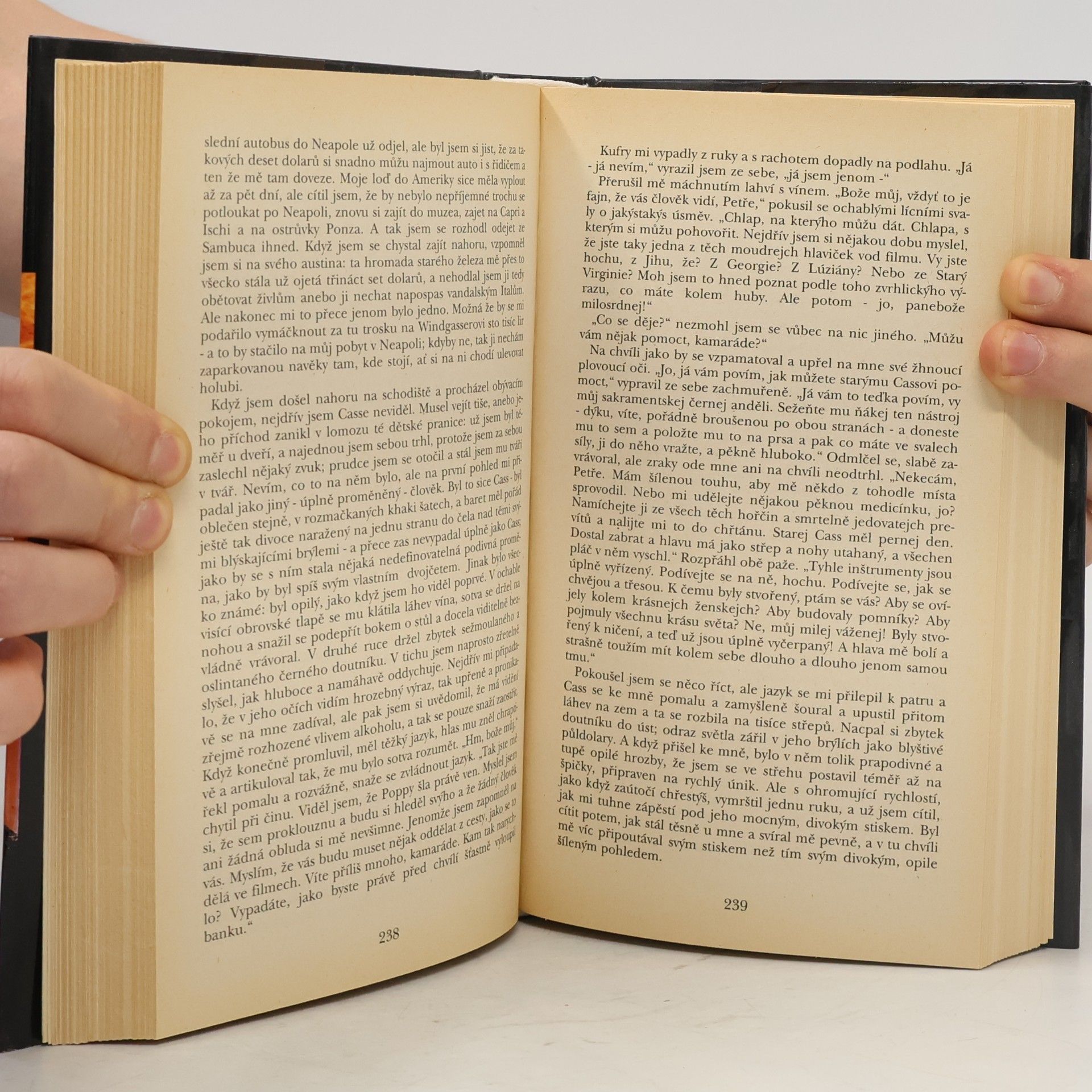 William Styron Zapal tento dům