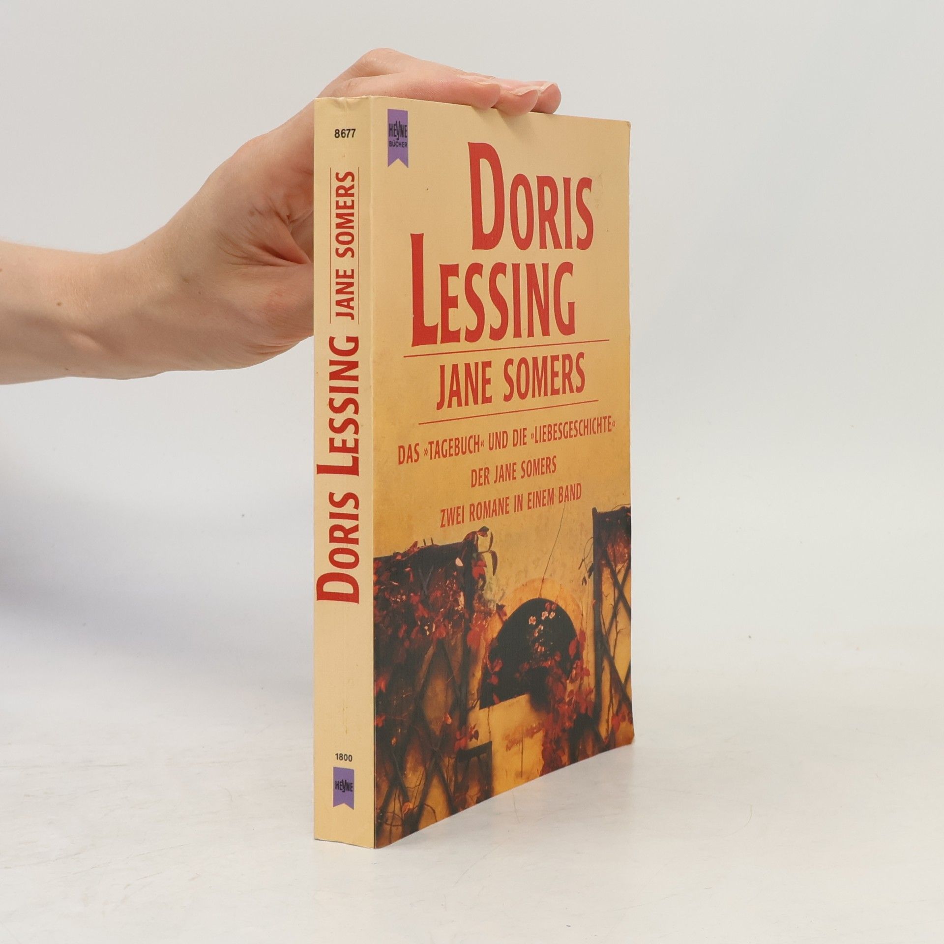 Doris Lessing Jane Somers