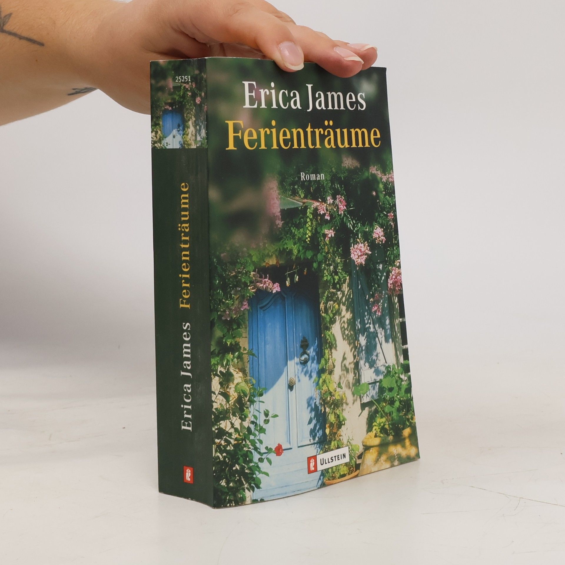 Erica James Ferienträume