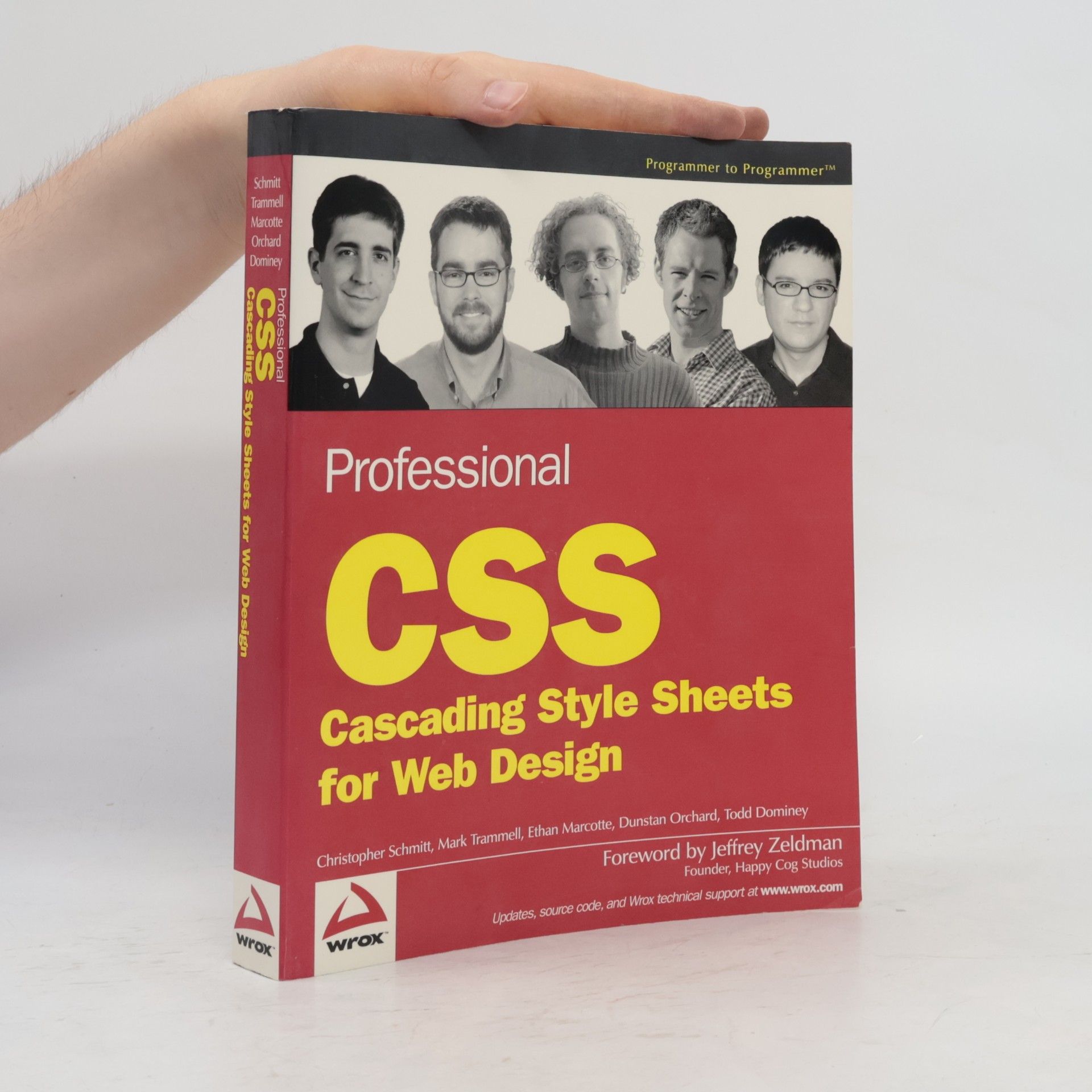 Programmer to Programmer™: Professional CSS