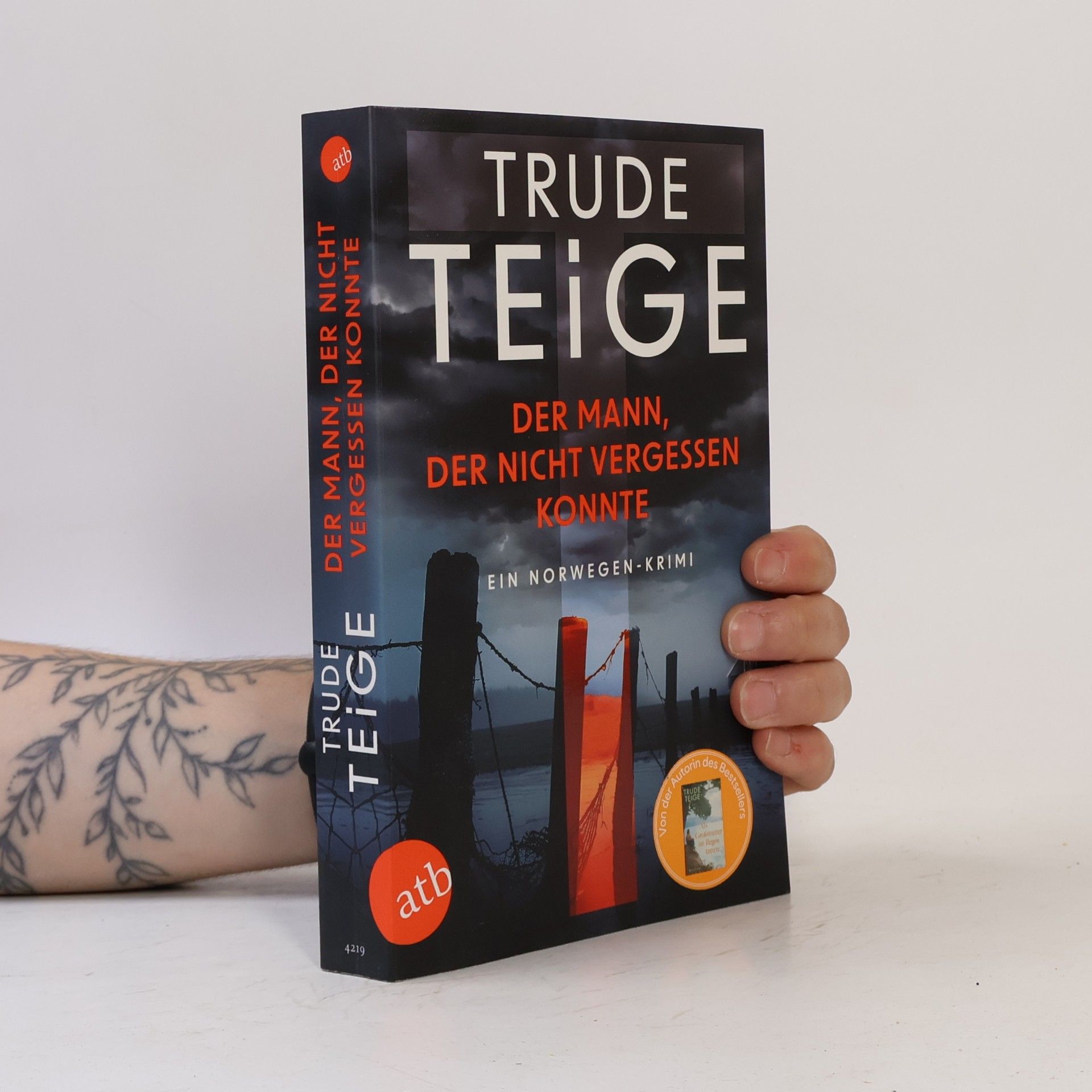 Trude Teige Der Mann, der nicht vergessen konnte
