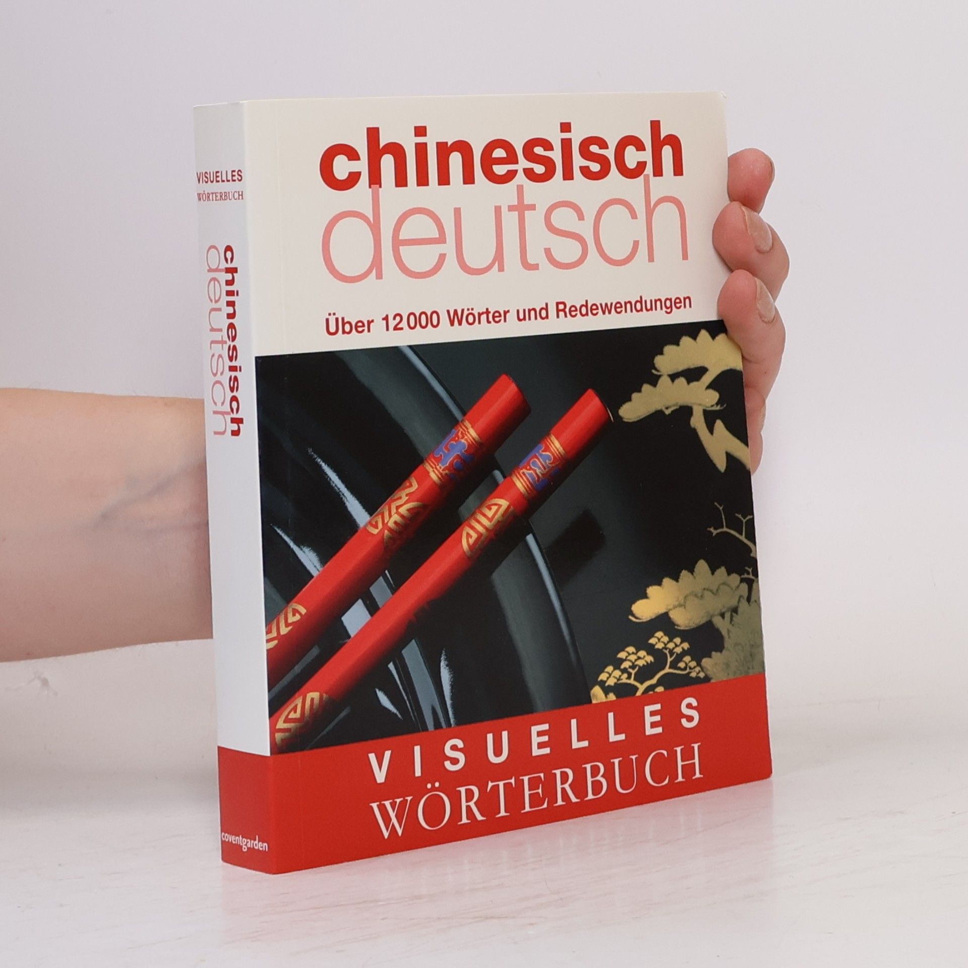 AA.VV. Chinesisch Deutsch. Visuelles Wörterbuch