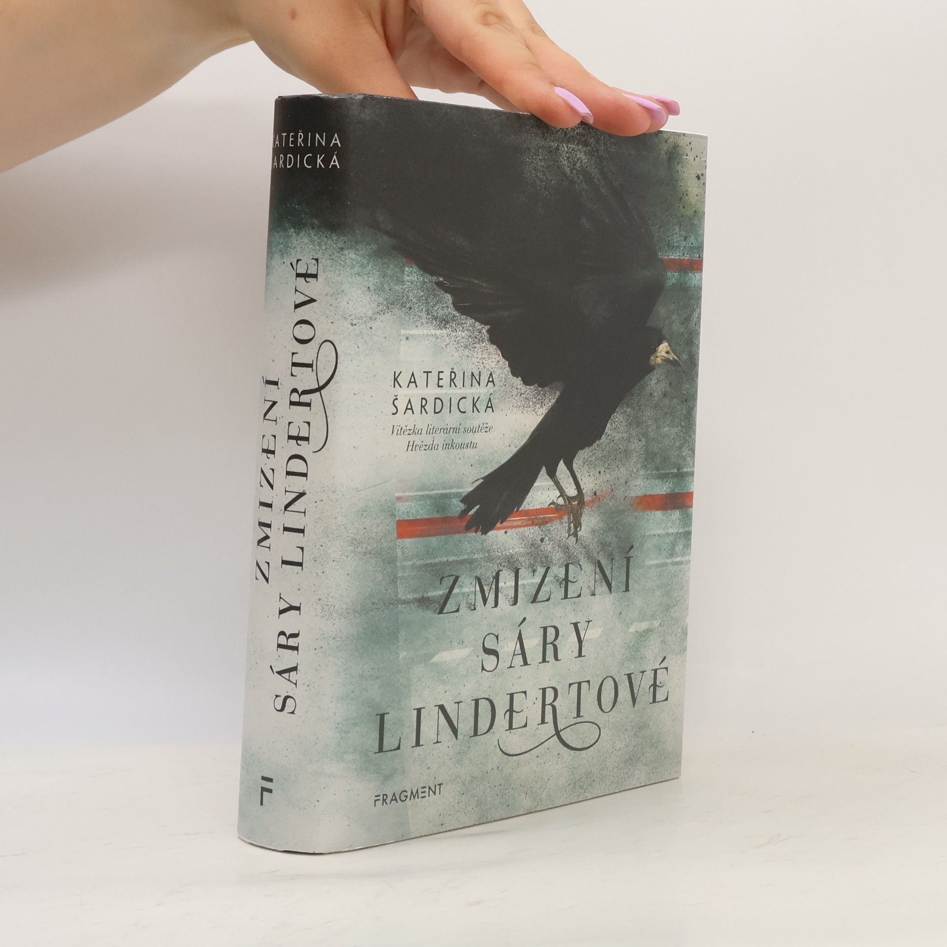 Kateřina Šardická Zmizení Sáry Lindertové