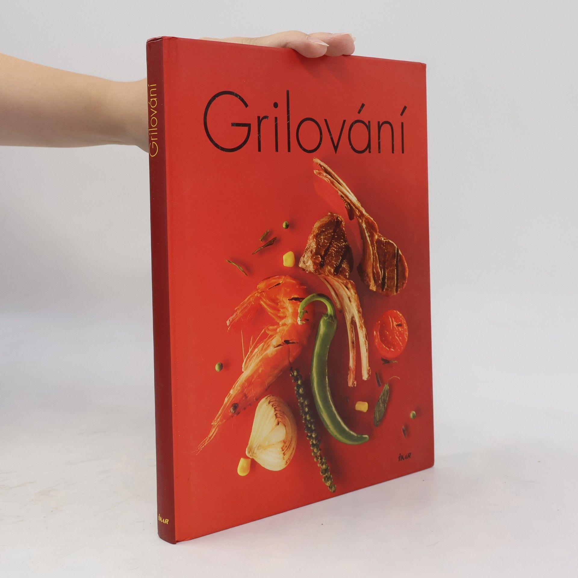 Autorenkollektiv Grilování