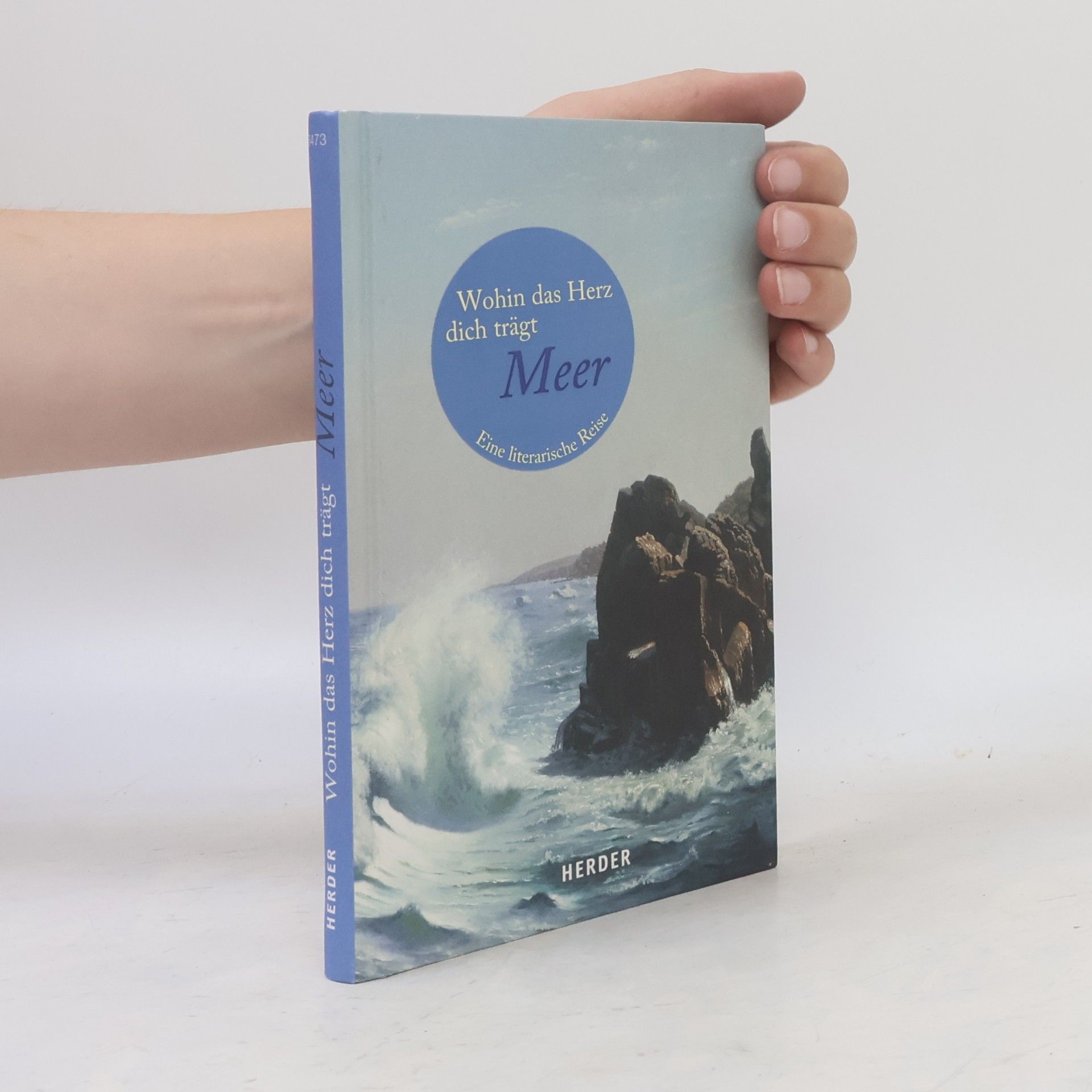 Liane Dirks Wohin das Herz dich trägt - Meer