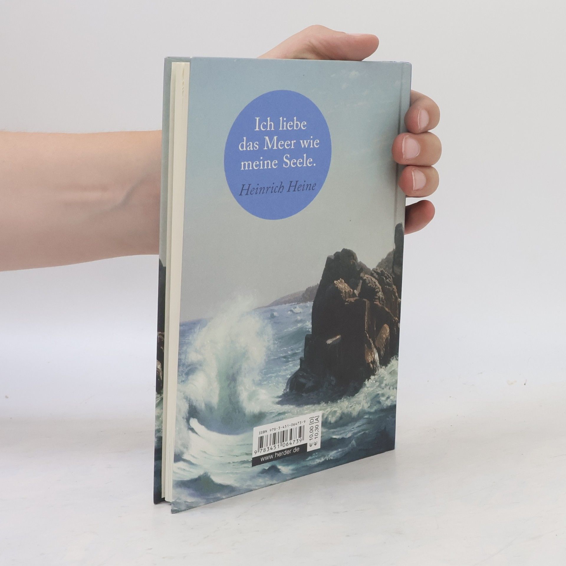 Liane Dirks Wohin das Herz dich trägt - Meer
