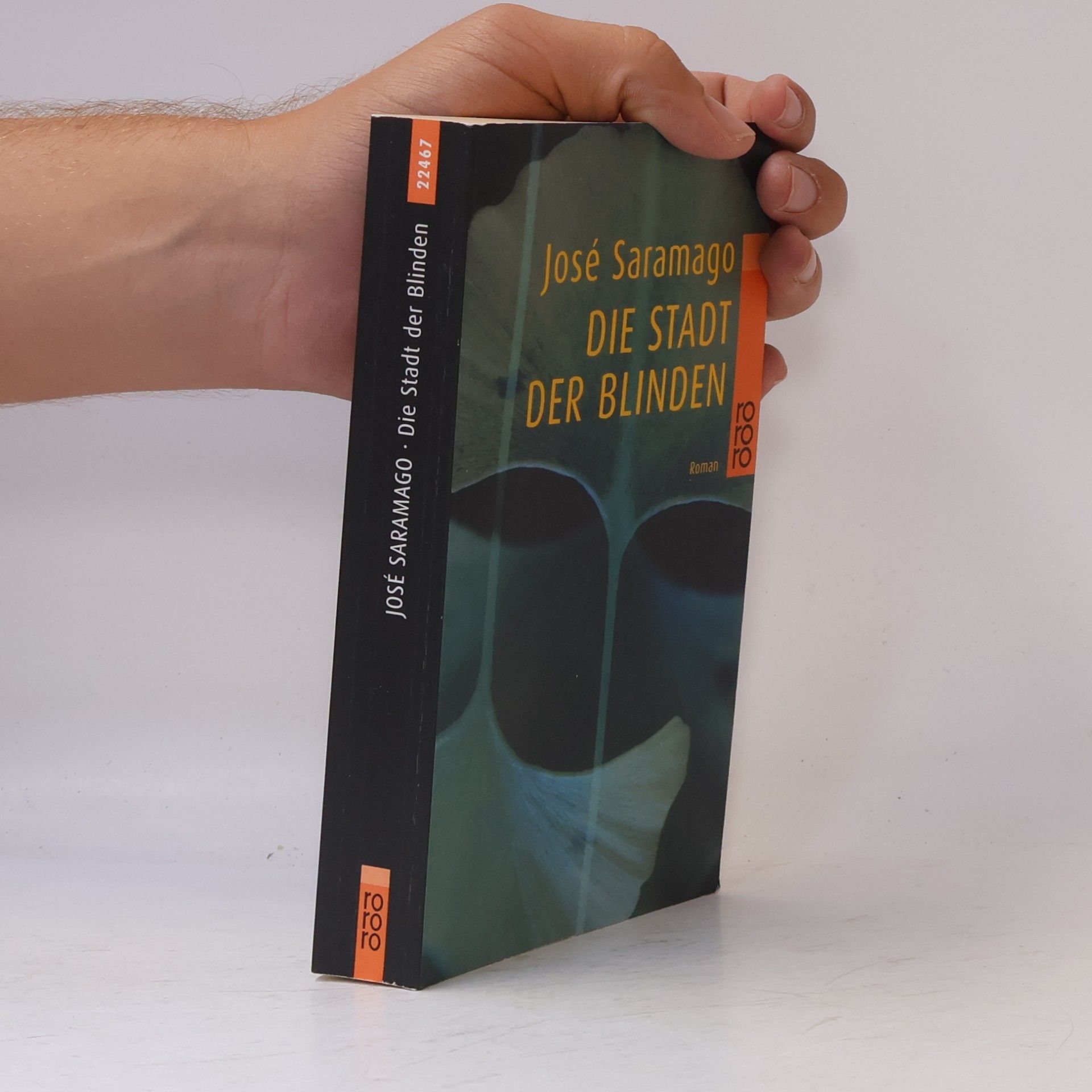 José Saramango Die Stadt der Blinden