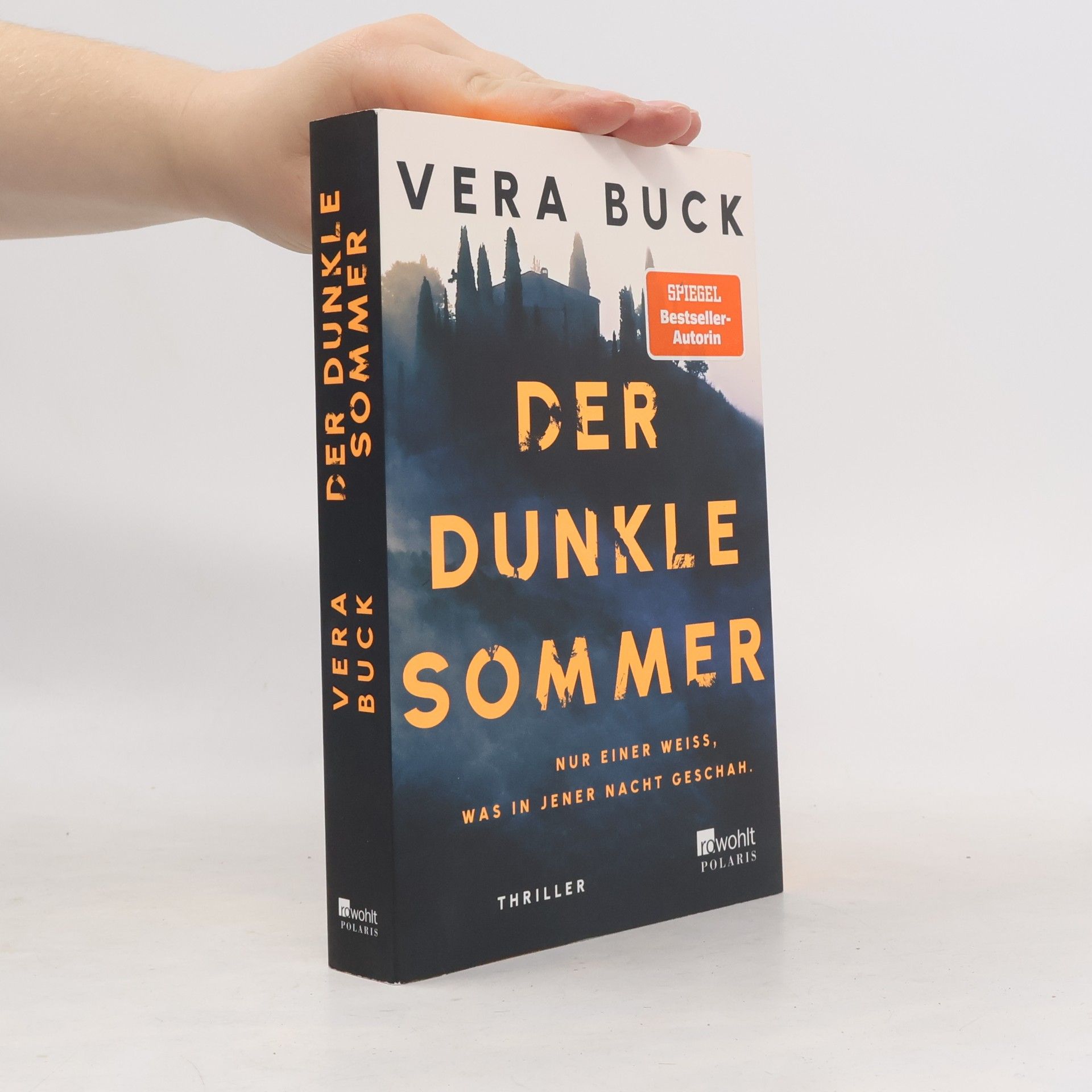 Vera Buck Der dunkle Sommer