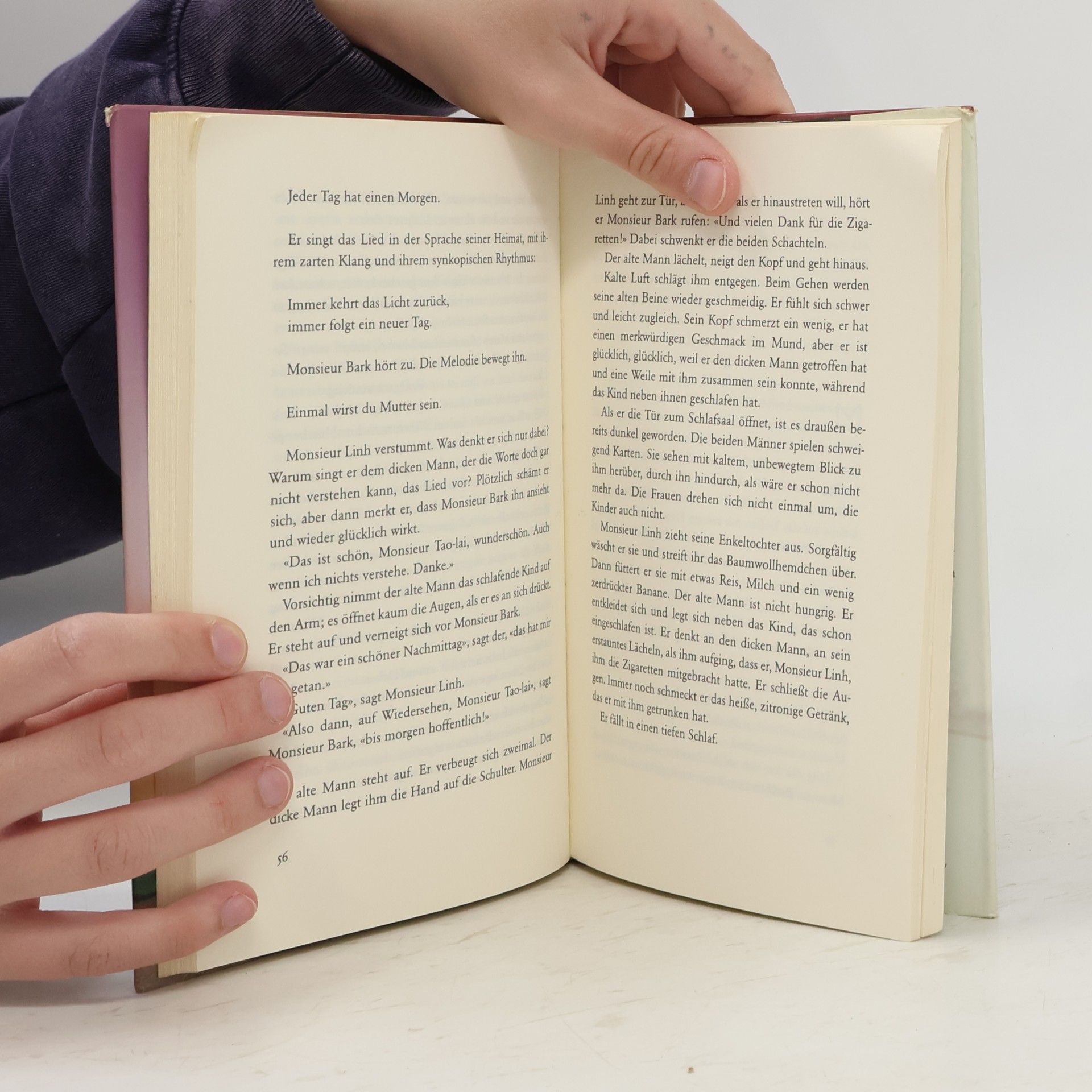 Philippe Claudel Monsieur Linh und die Gabe der Hoffnung