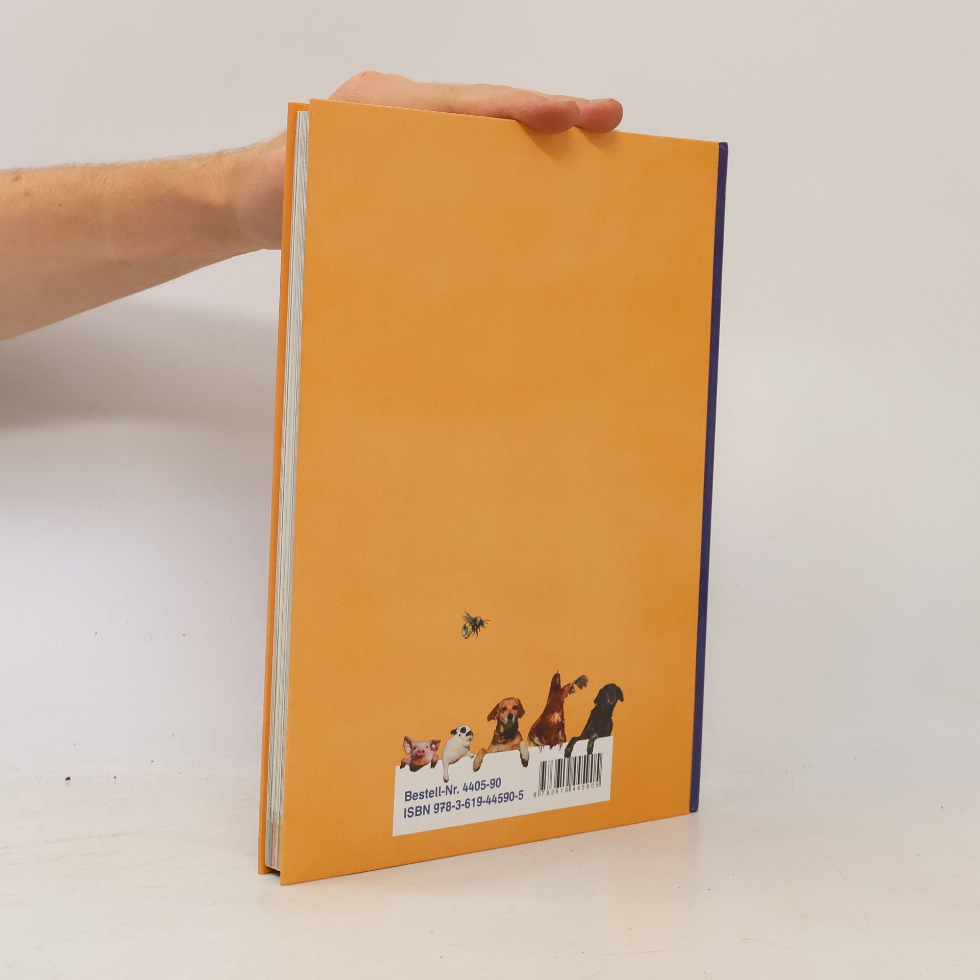 Klaus Kuhn 4. Schuljahr, Lesebuch