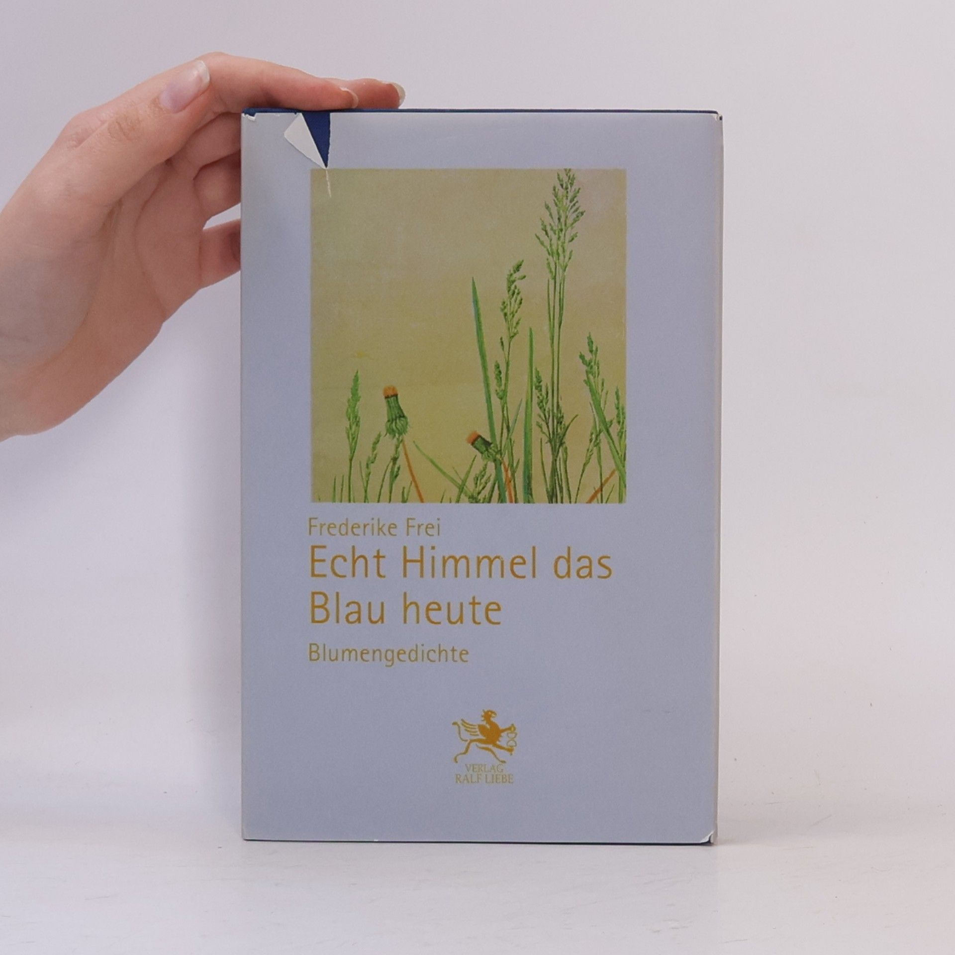 Frederike Frei Echt Himmel das Blau heute