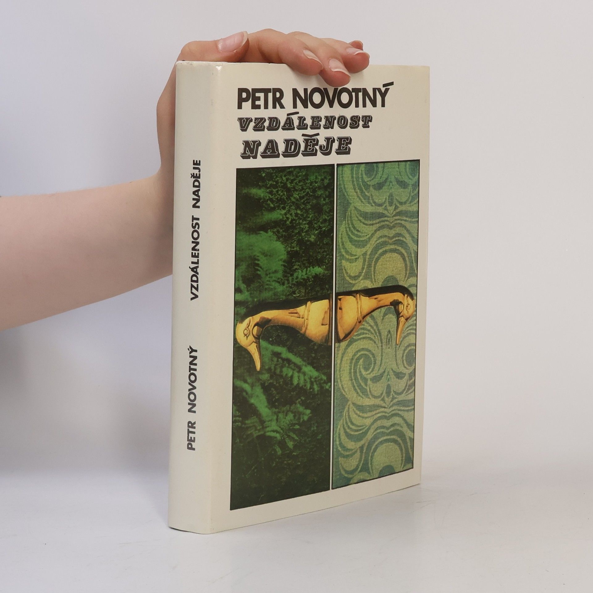 Petr Novotný Vzdálenost naděje