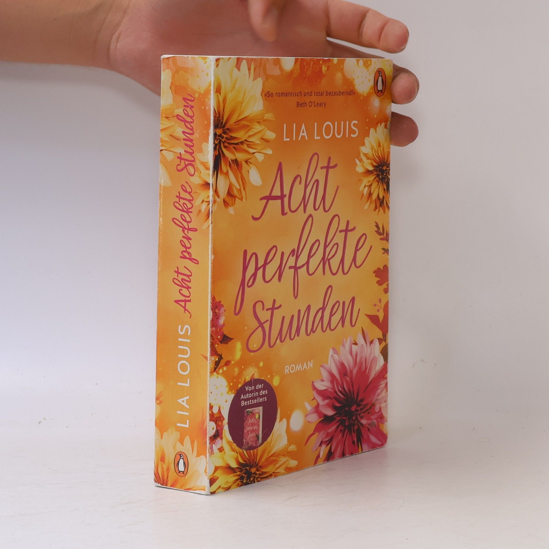 Lia Louis Acht perfekte Stunden