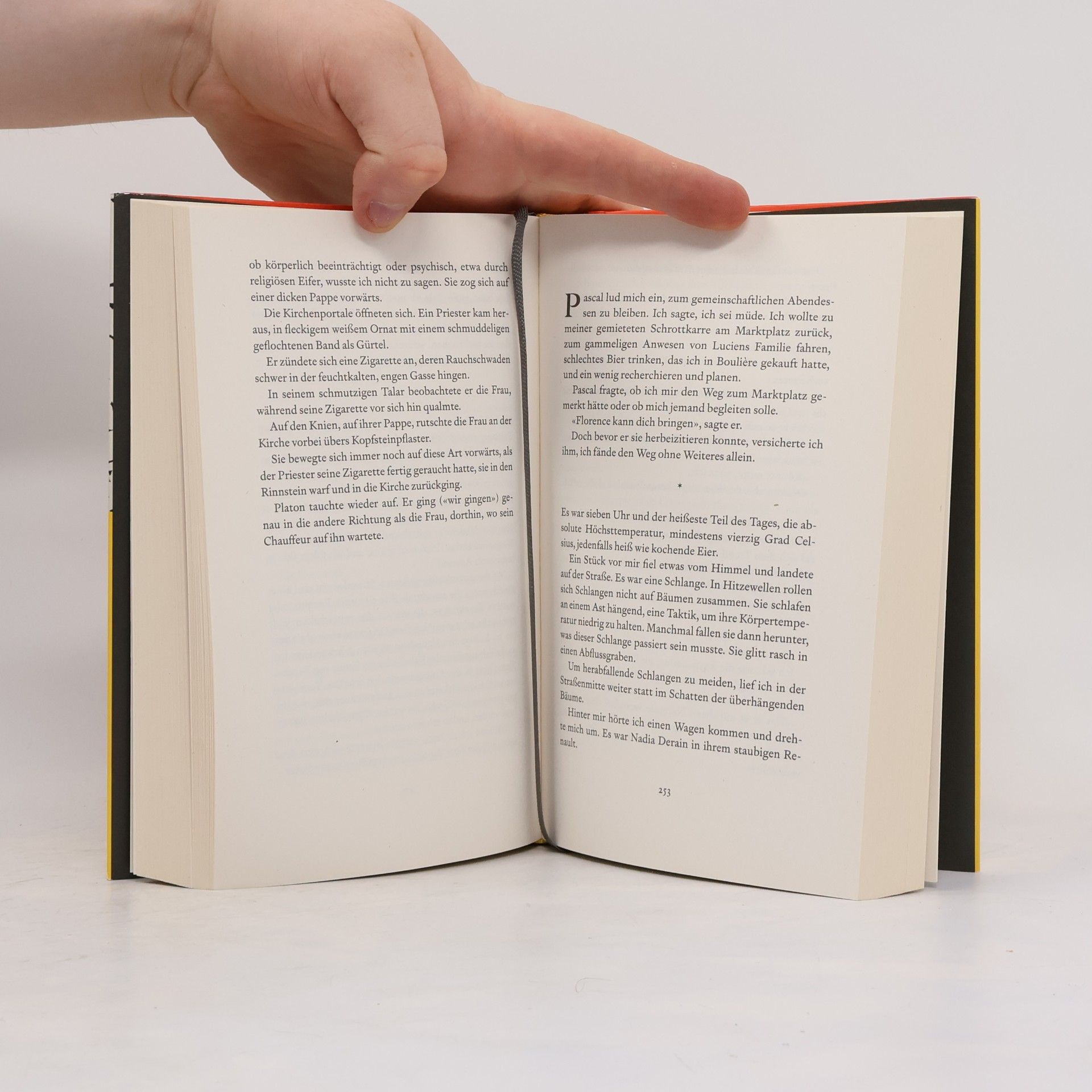 Rachel Kushner See der Schöpfung