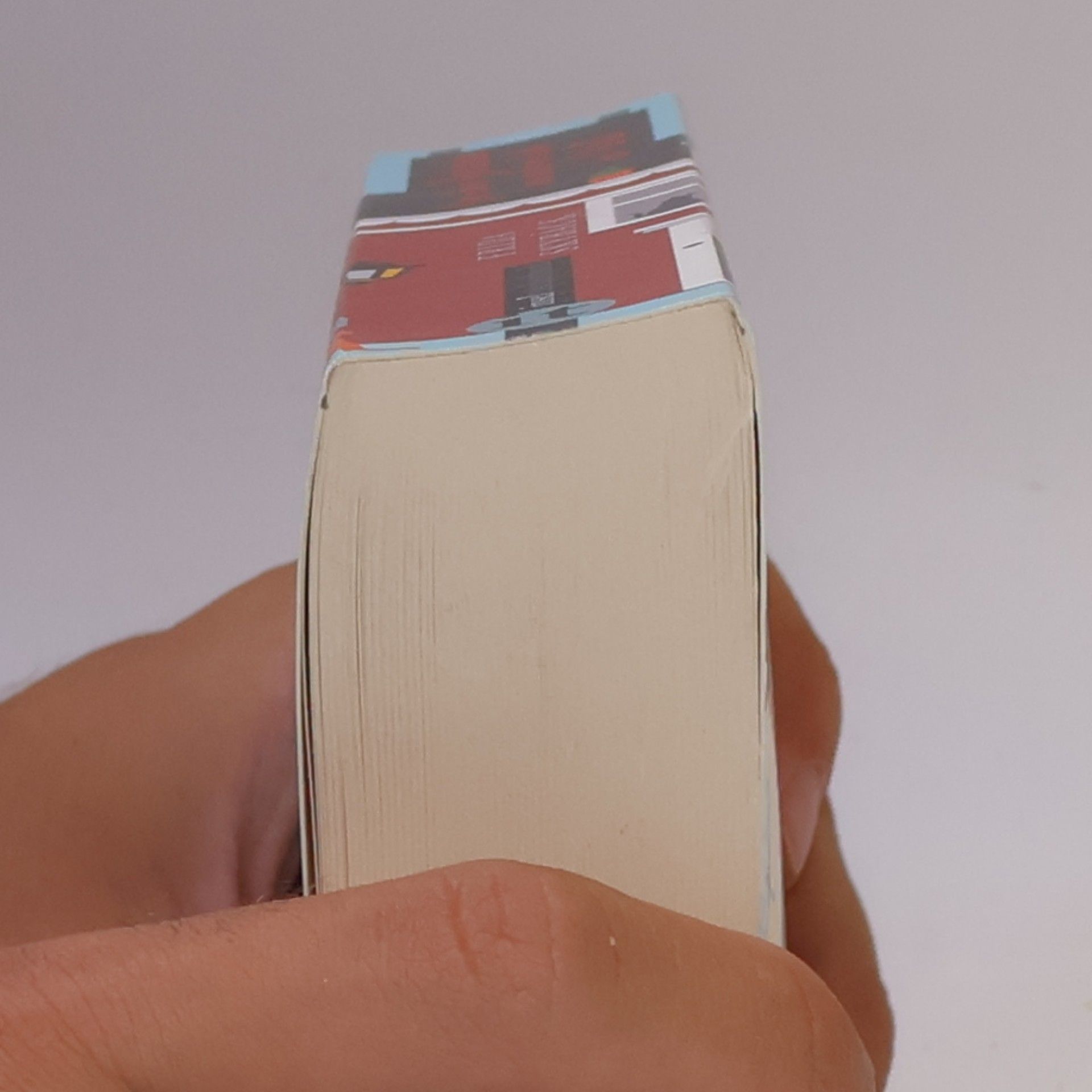 Frida Skybäck Der kleine Buchsalon am anderen Ende der Welt