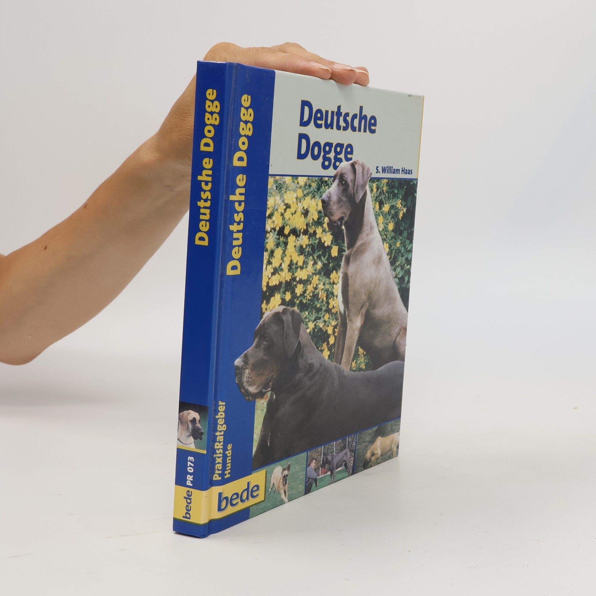 Deutsche Dogge
