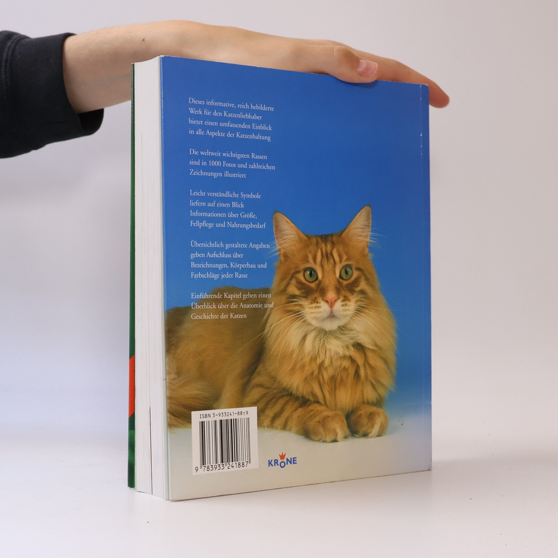 Beate Felten Leidel Enzyklopädie der Katzen