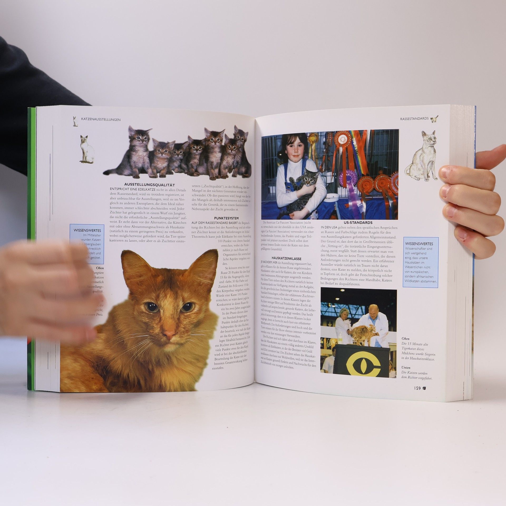 Beate Felten Leidel Enzyklopädie der Katzen