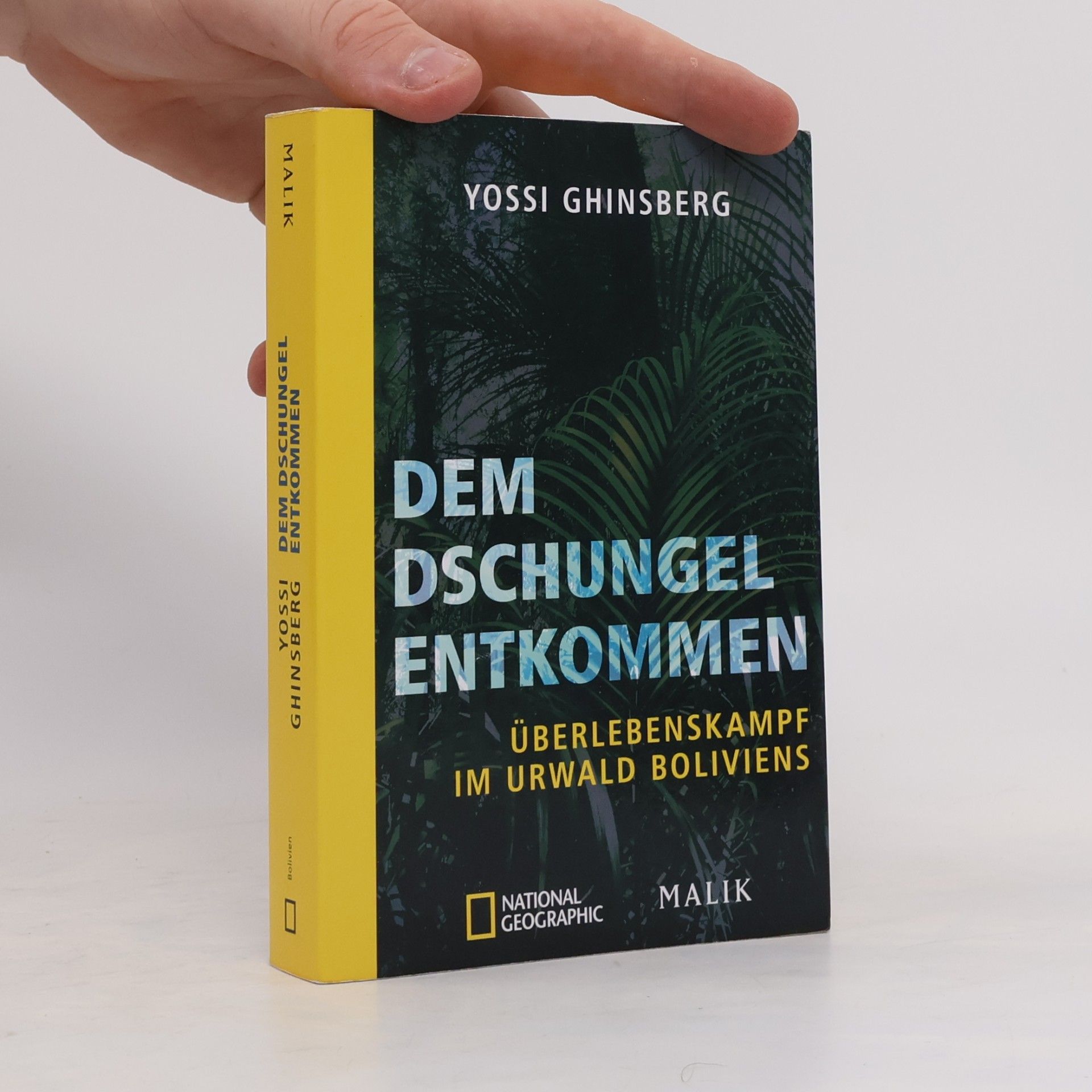 Yosi Ginsberg Dem Dschungel entkommen