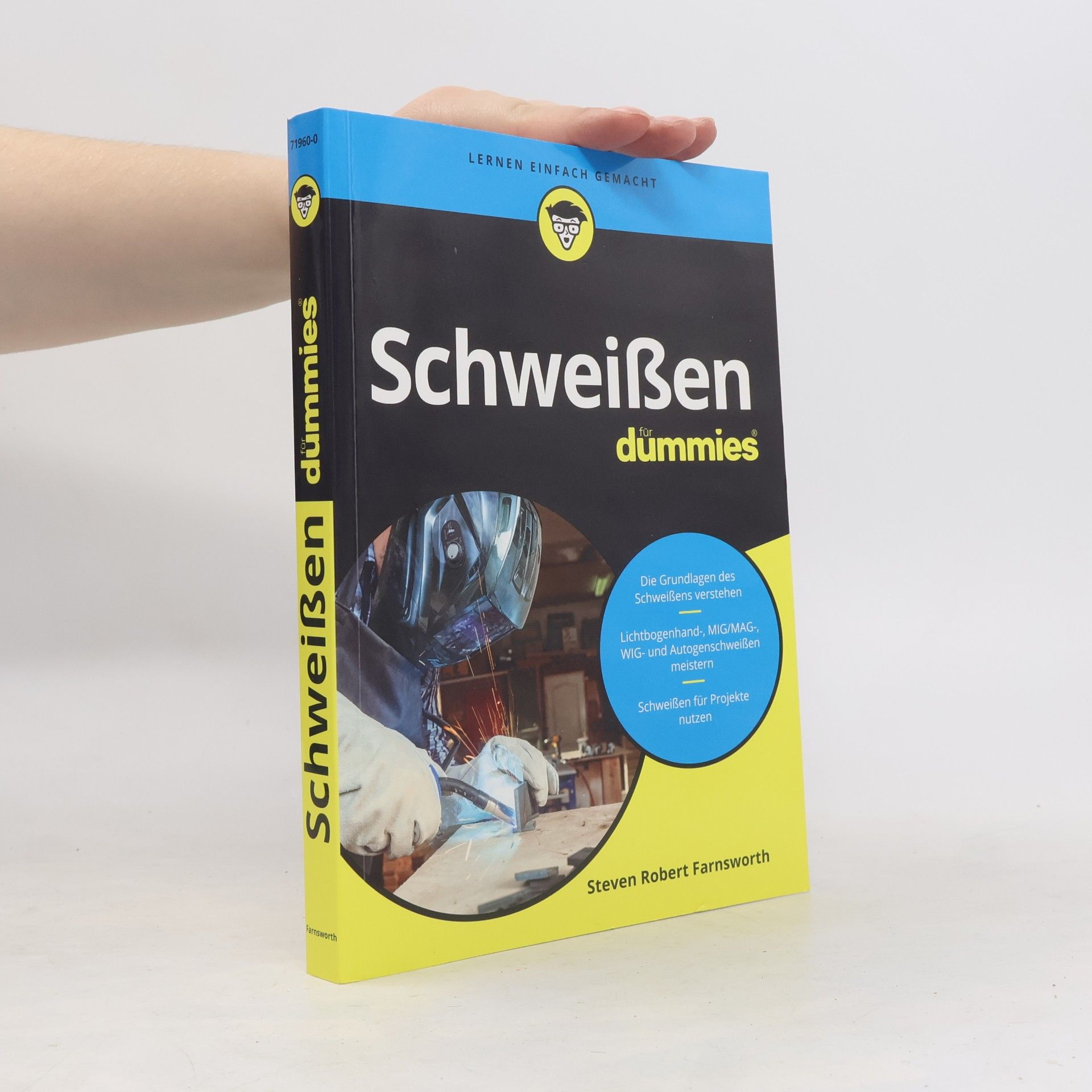 Steven Robert Farnsworth Schweißen für Dummies