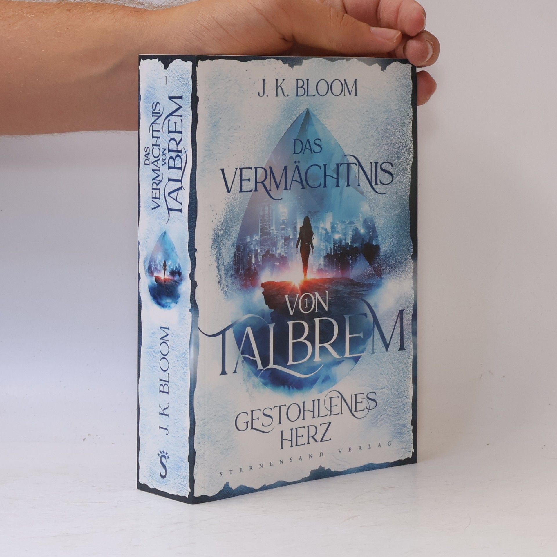 Paul Bloom Das Vermächtnis von Talbrem (Band 1): Gestohlenes Herz