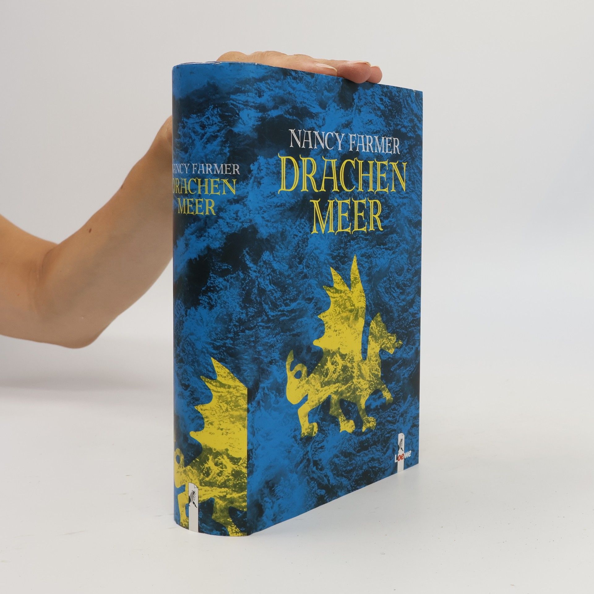 Drachen Meer