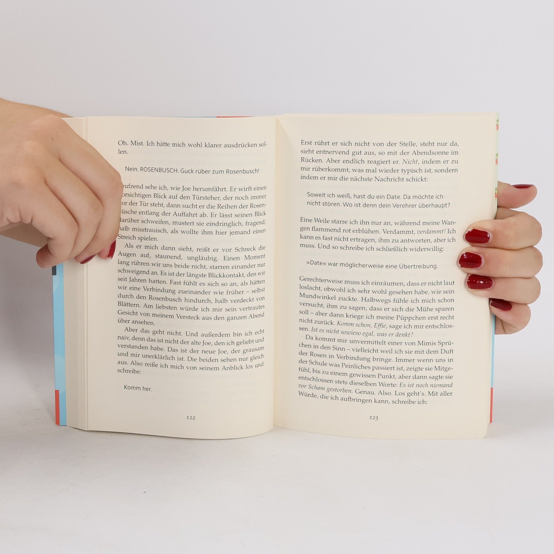Sophie Kinsella Die Familienfeier