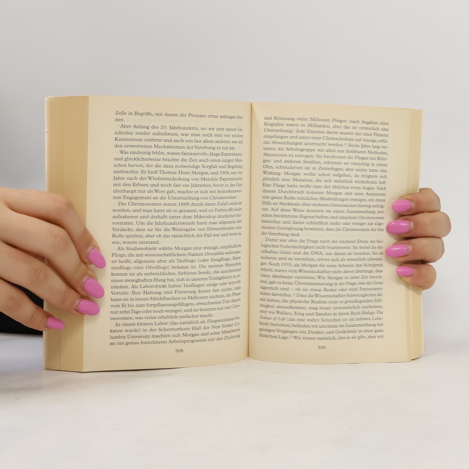 Bill Bryson Eine kurze Geschichte von fast allem