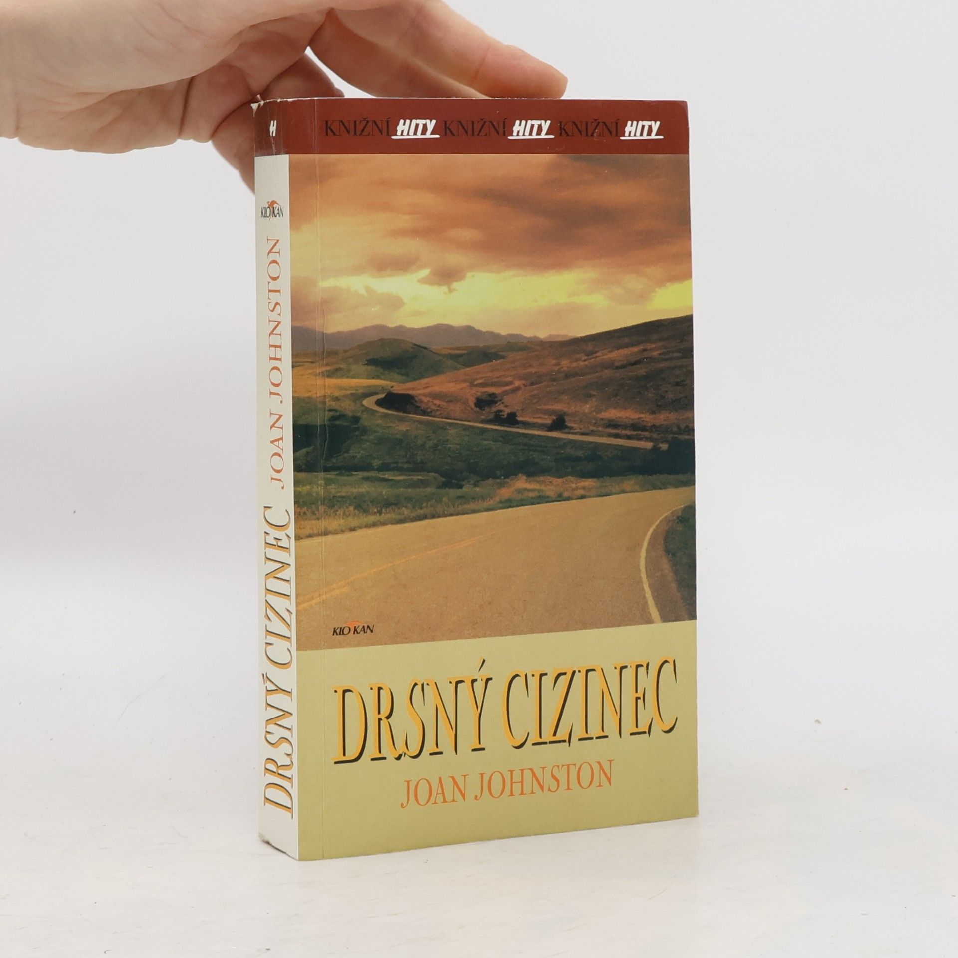 Joan Johnston Drsný cizinec