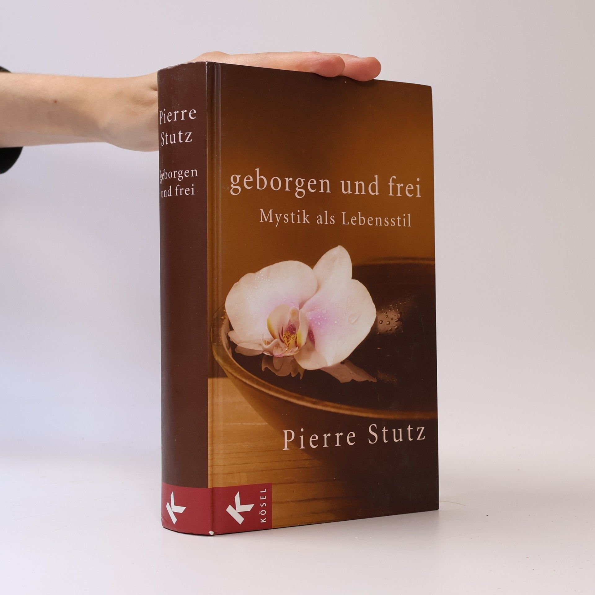 Pierre Stutz Geborgen und frei