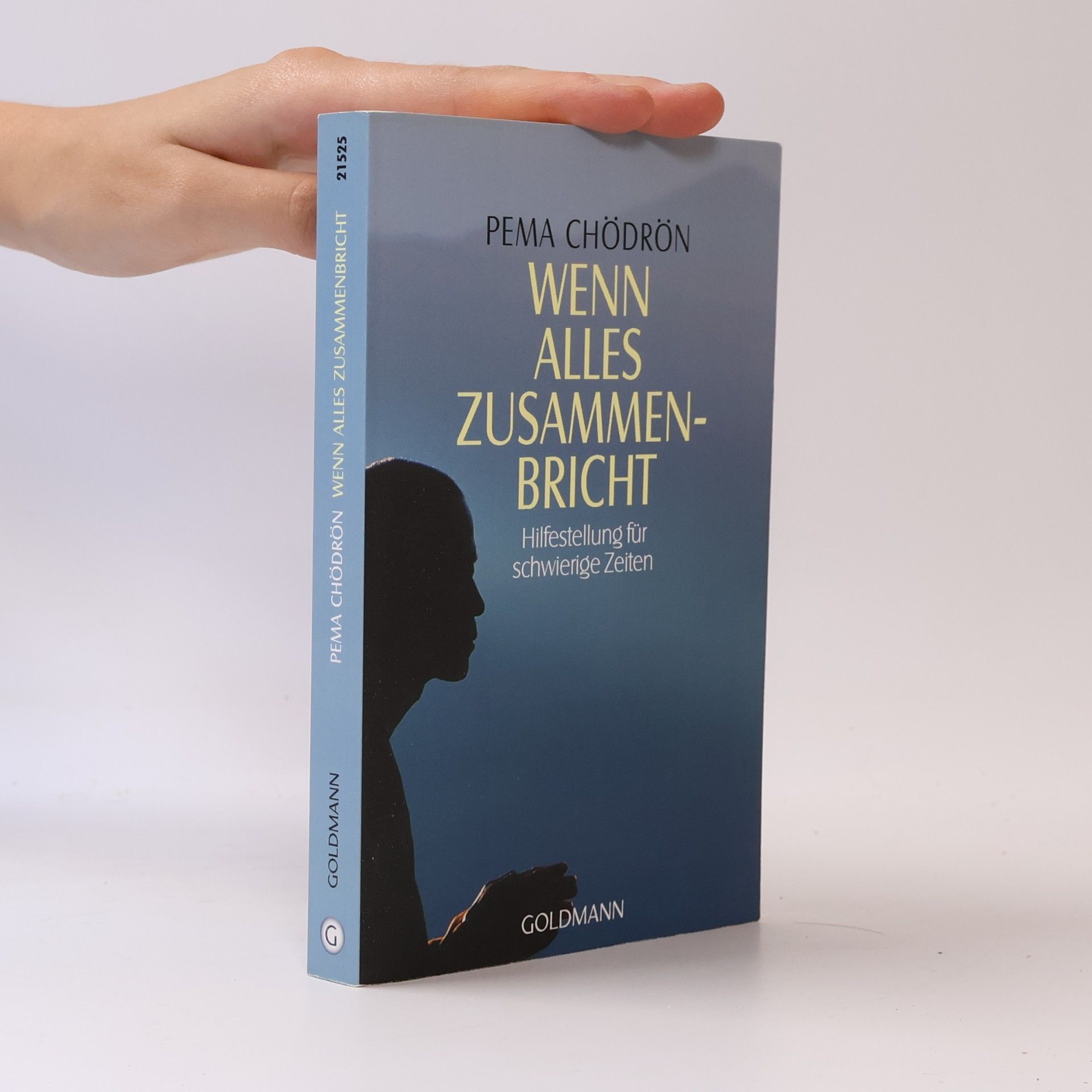 Pema Chödrön Wenn alles zusammenbricht