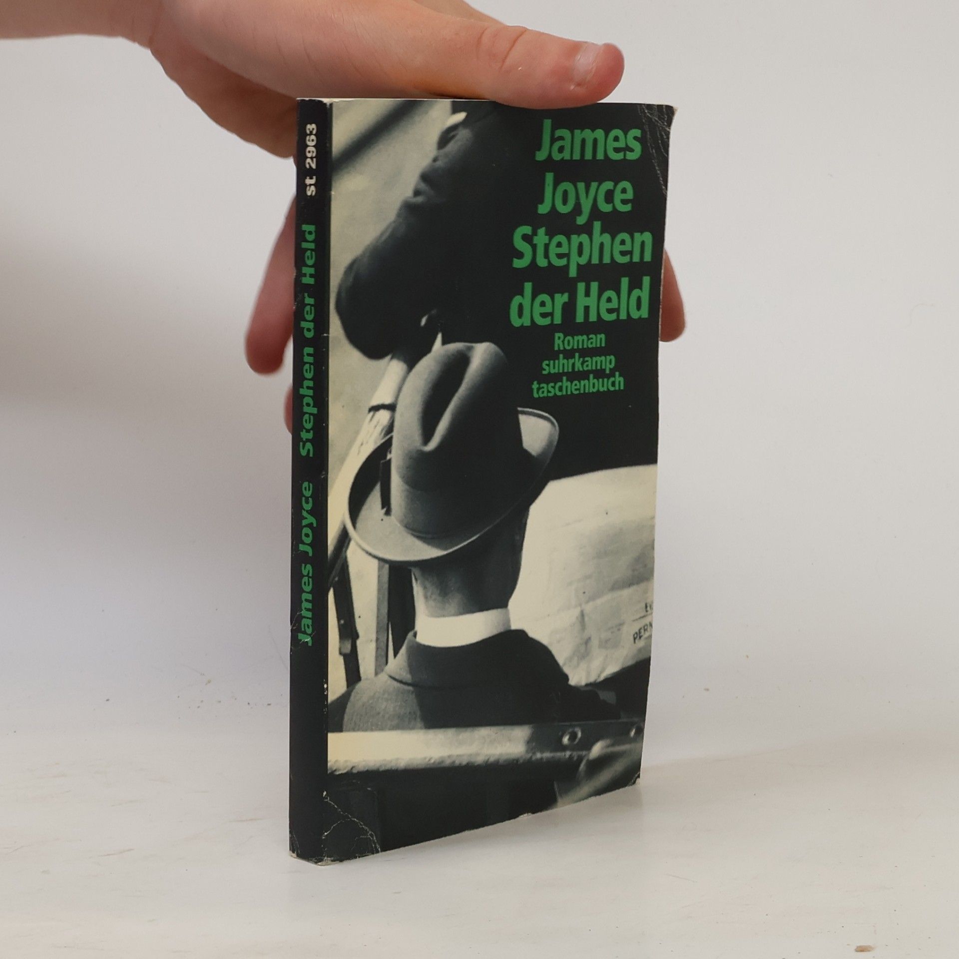 James Joyce Stephen der Held