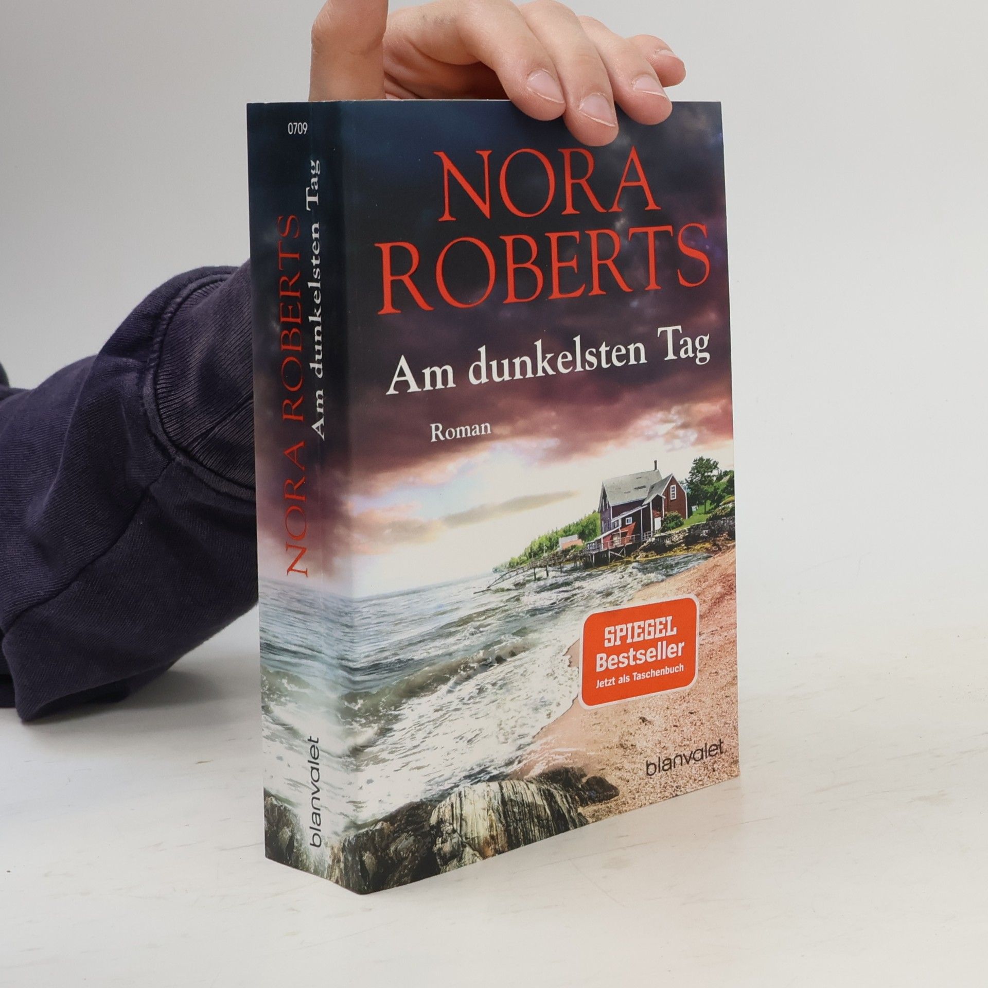 Nora Roberts Am dunkelsten Tag