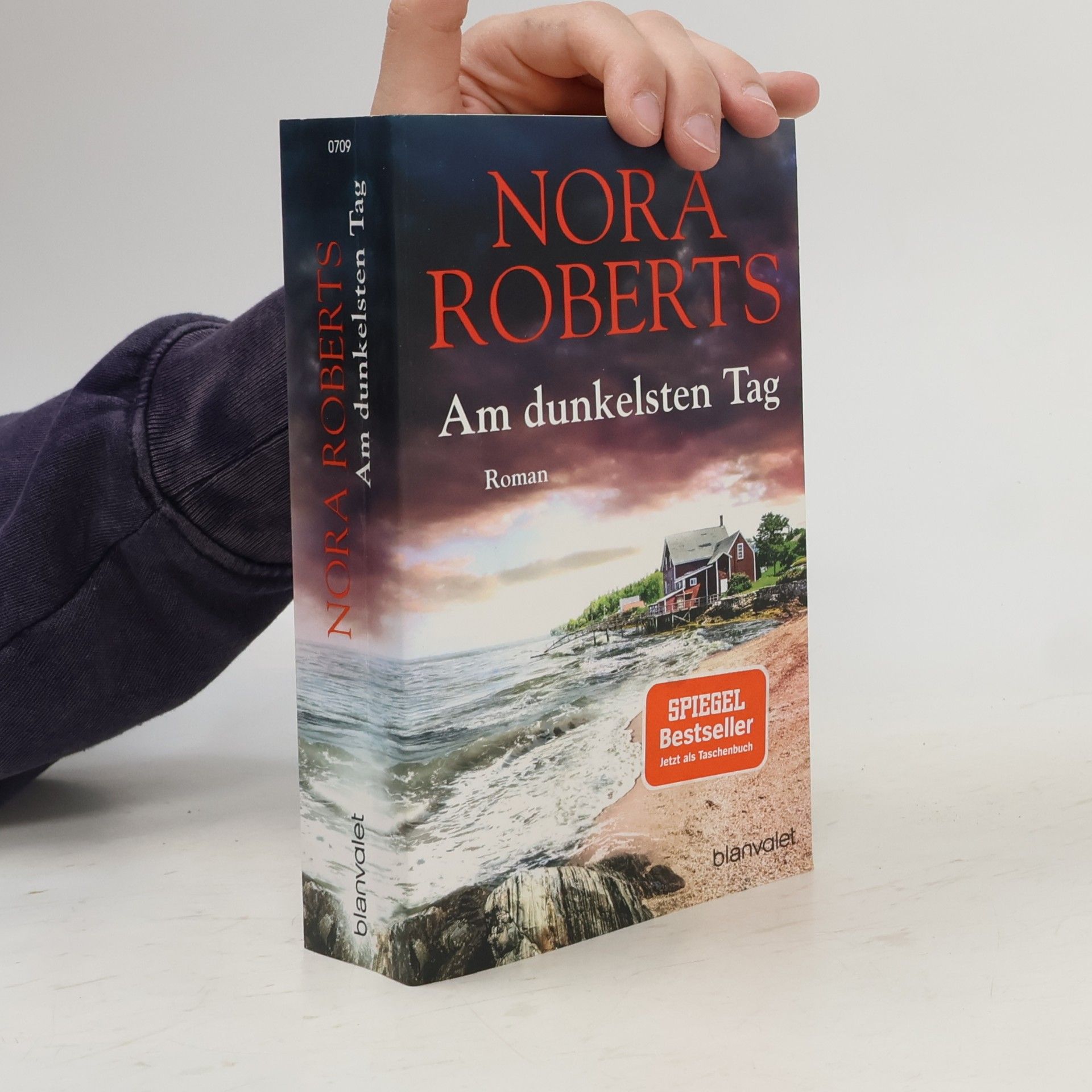 Nora Roberts Am dunkelsten Tag