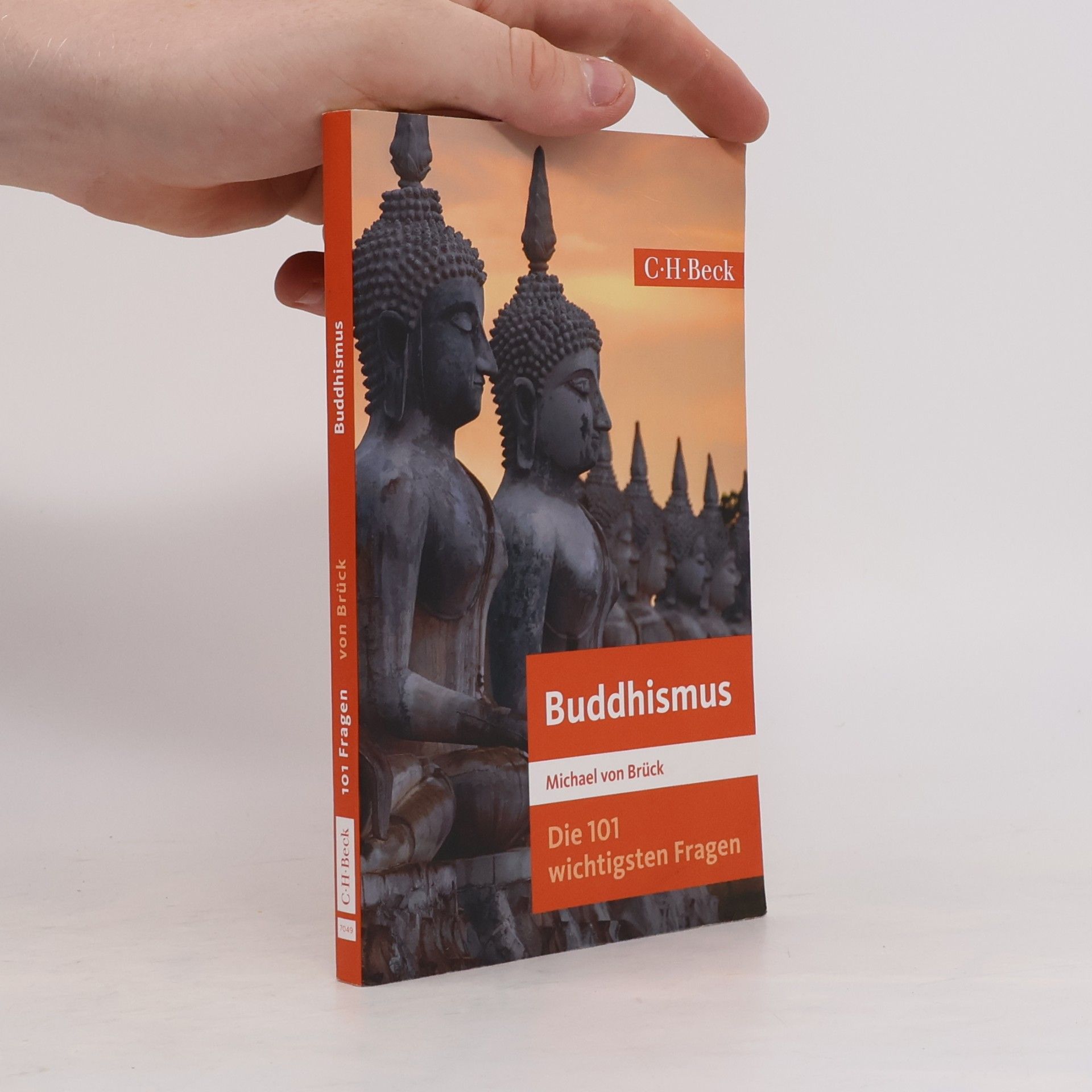 Michael Brück Die 101 wichtigsten Fragen: Buddhismus