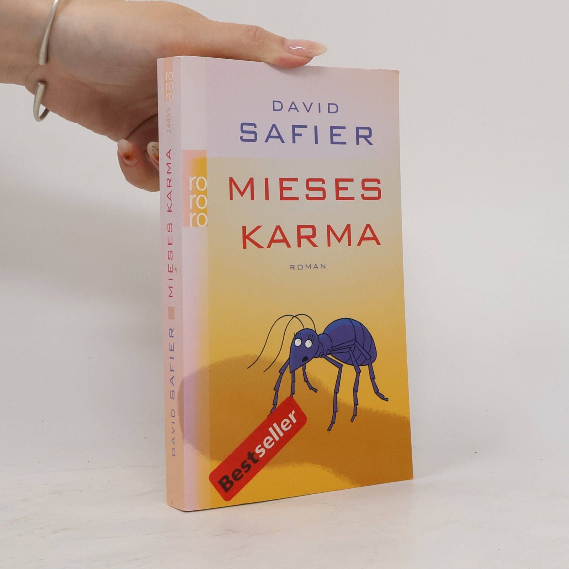 David Safier Mieses Karma