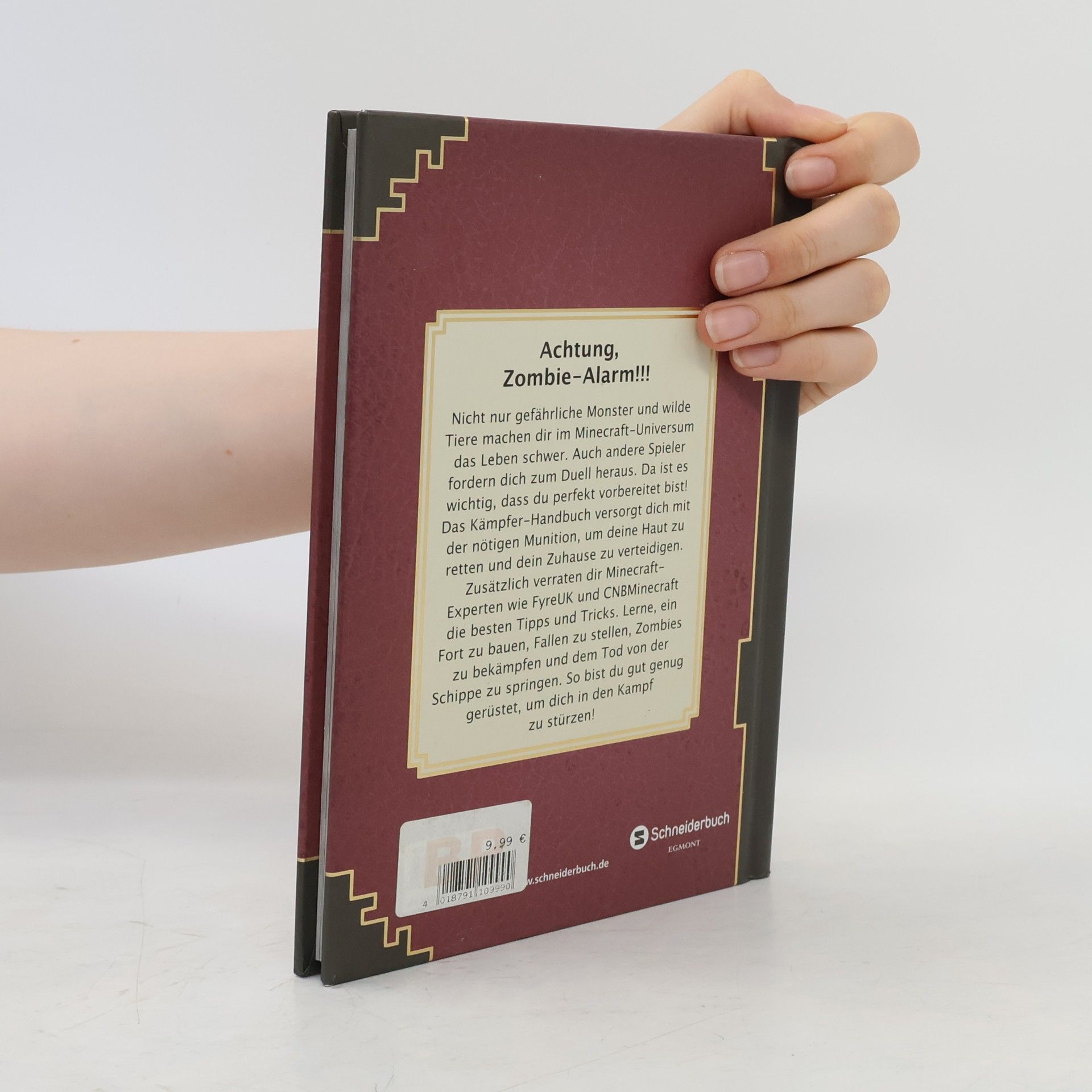 Collectif d'auteurs Minecraft. Das Kämpfer-Handbuch
