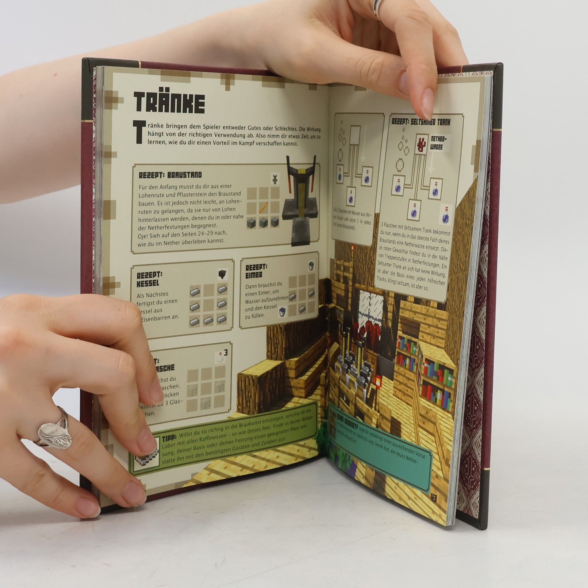 Collectif d'auteurs Minecraft. Das Kämpfer-Handbuch