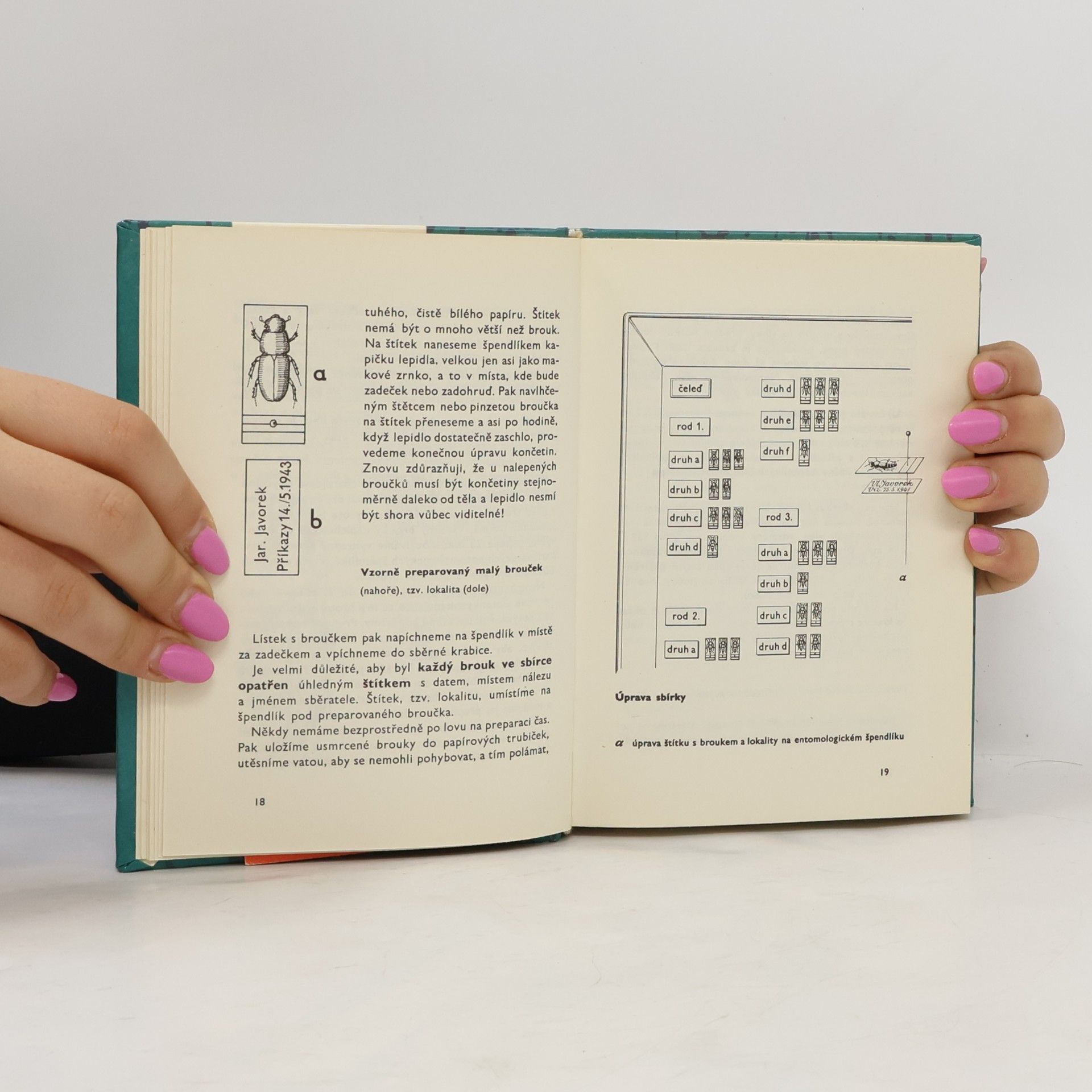 Vladimír Javorek Kapesní atlas brouků