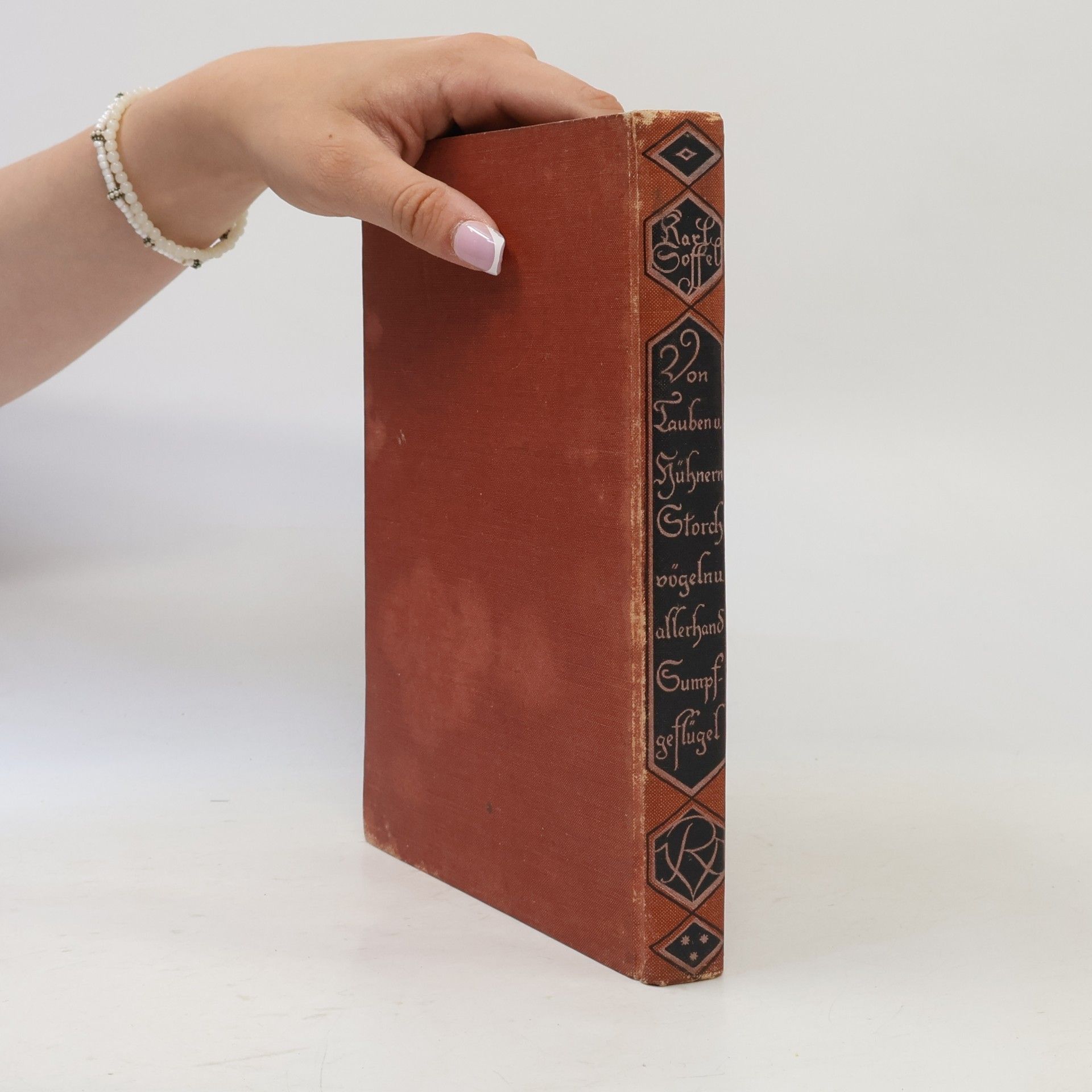 Autorenkollektiv Von Tauben und Hühnern, Storchvögeln und allerhand Sumpfgeflügel
