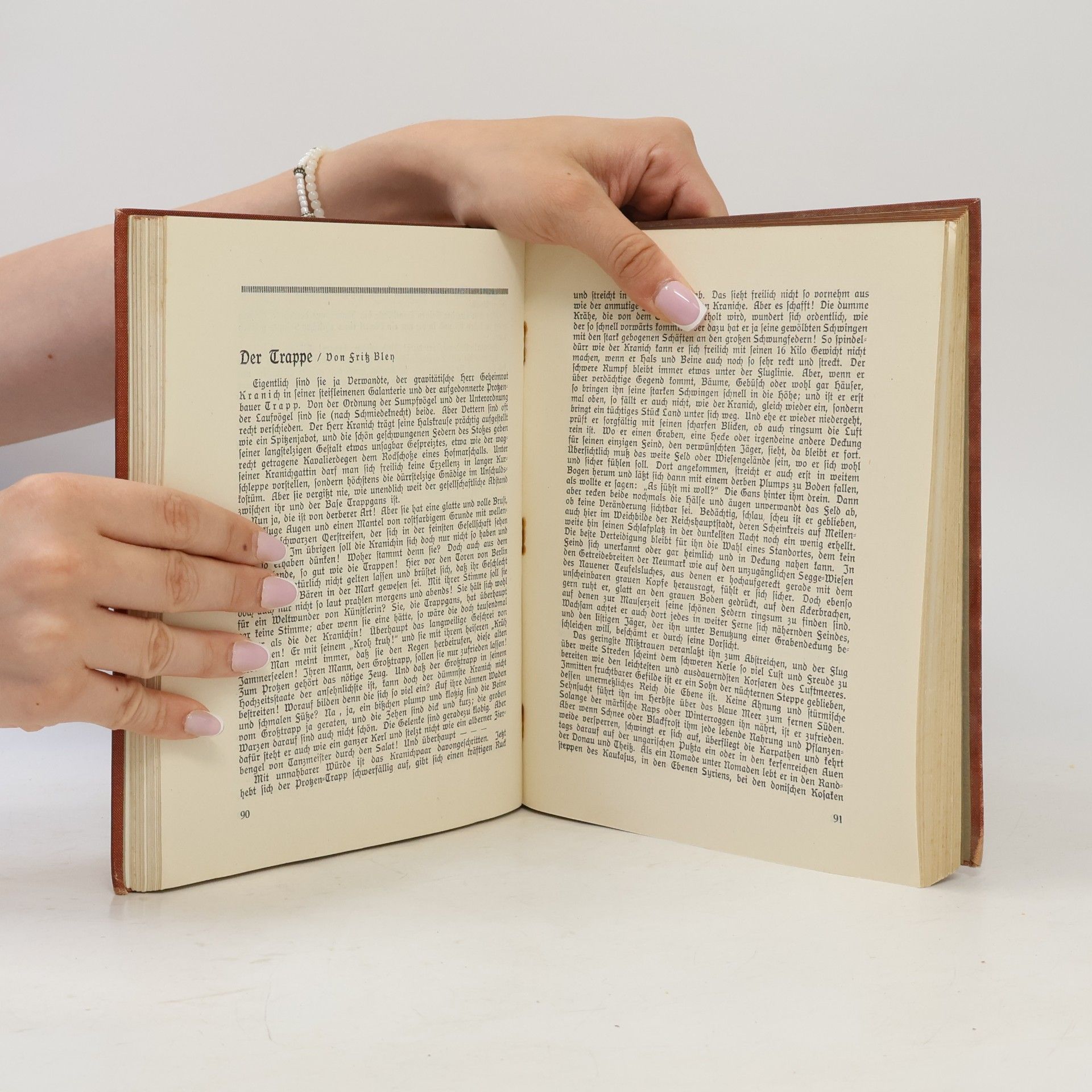 Autorenkollektiv Von Tauben und Hühnern, Storchvögeln und allerhand Sumpfgeflügel